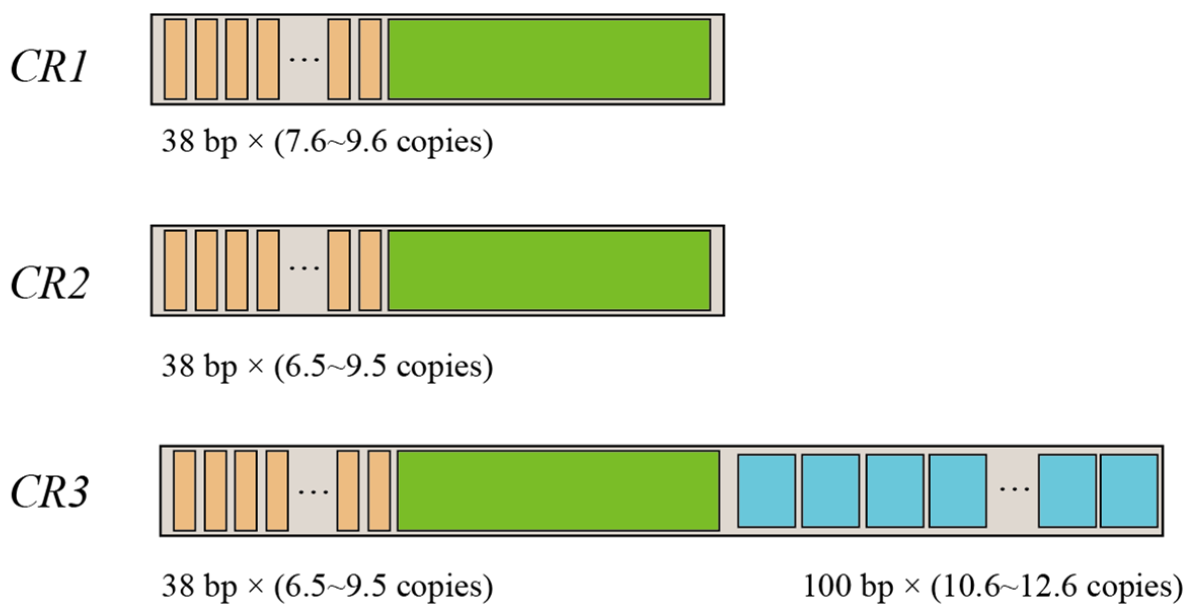 Animals 13 02857 g002