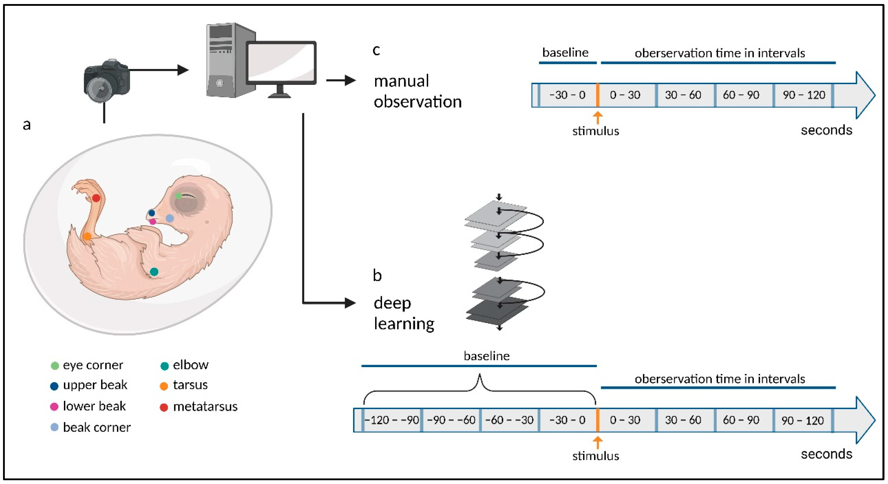 Animals 13 02859 g001 Animals 13 02859 g001
