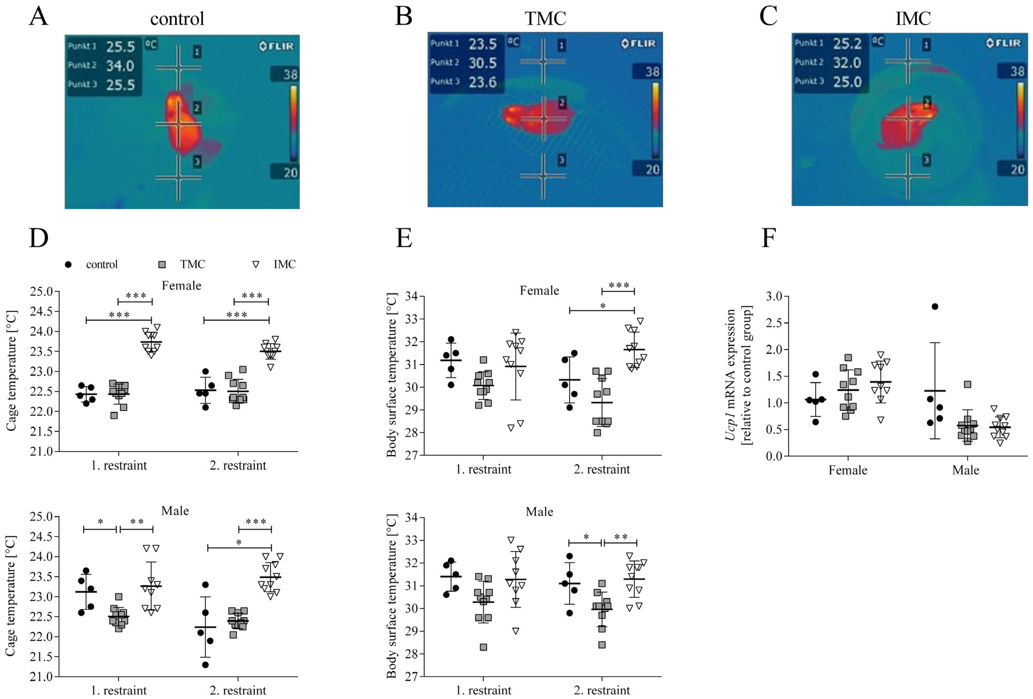 Animals 13 02866 g003