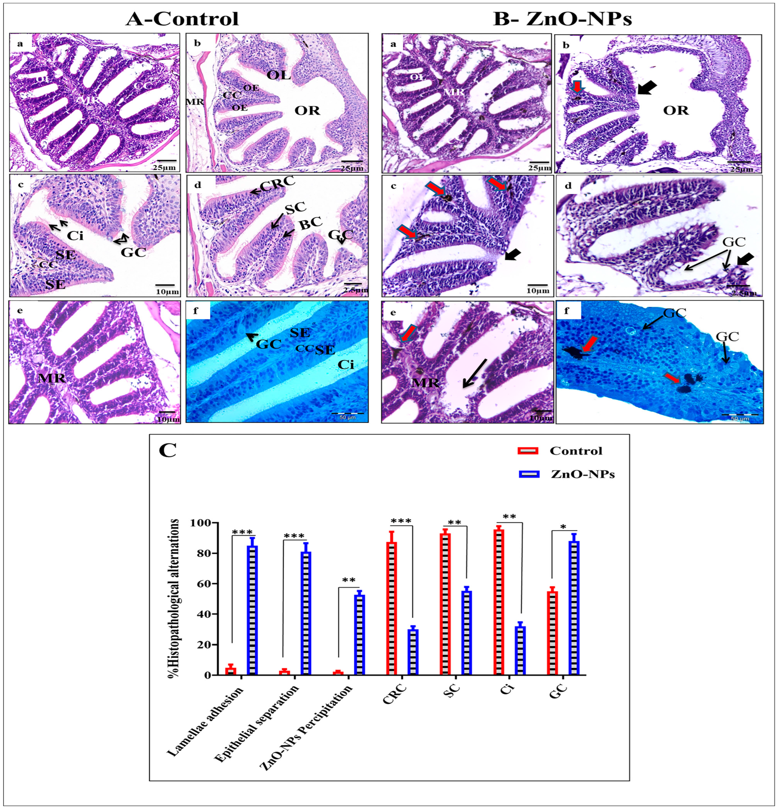 Animals 13 02867 g002