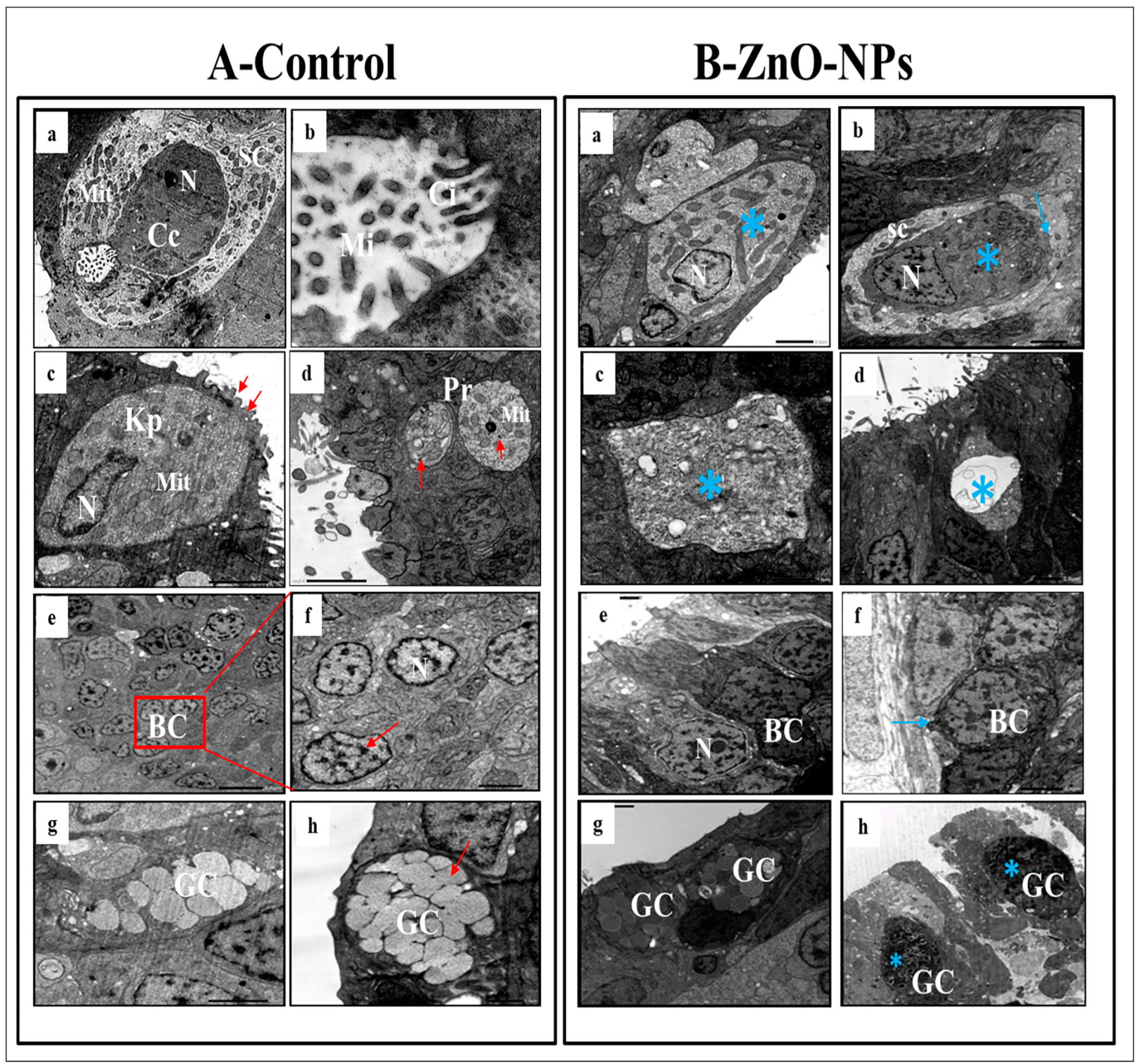 Animals 13 02867 g005