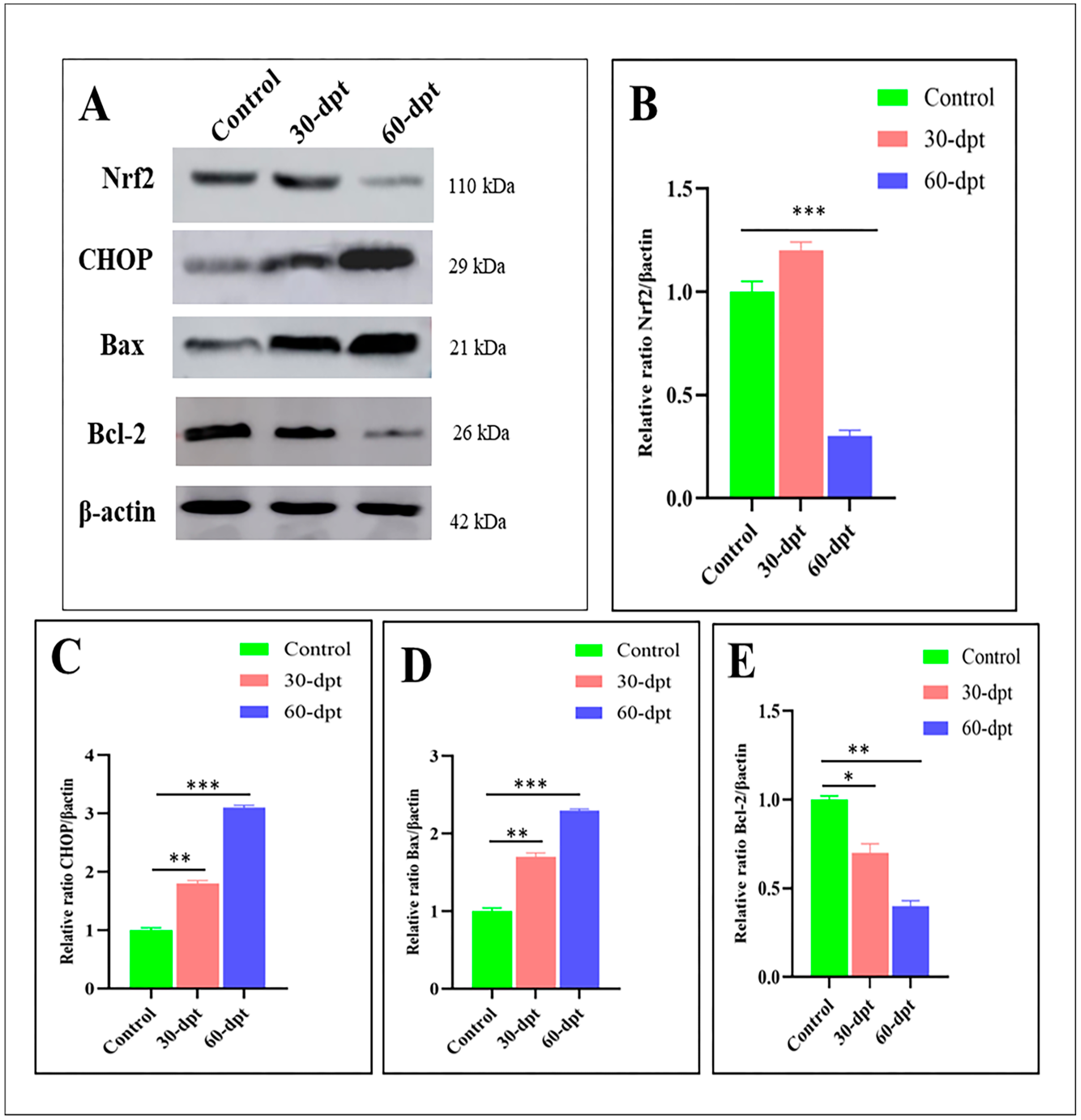 Animals 13 02867 g007