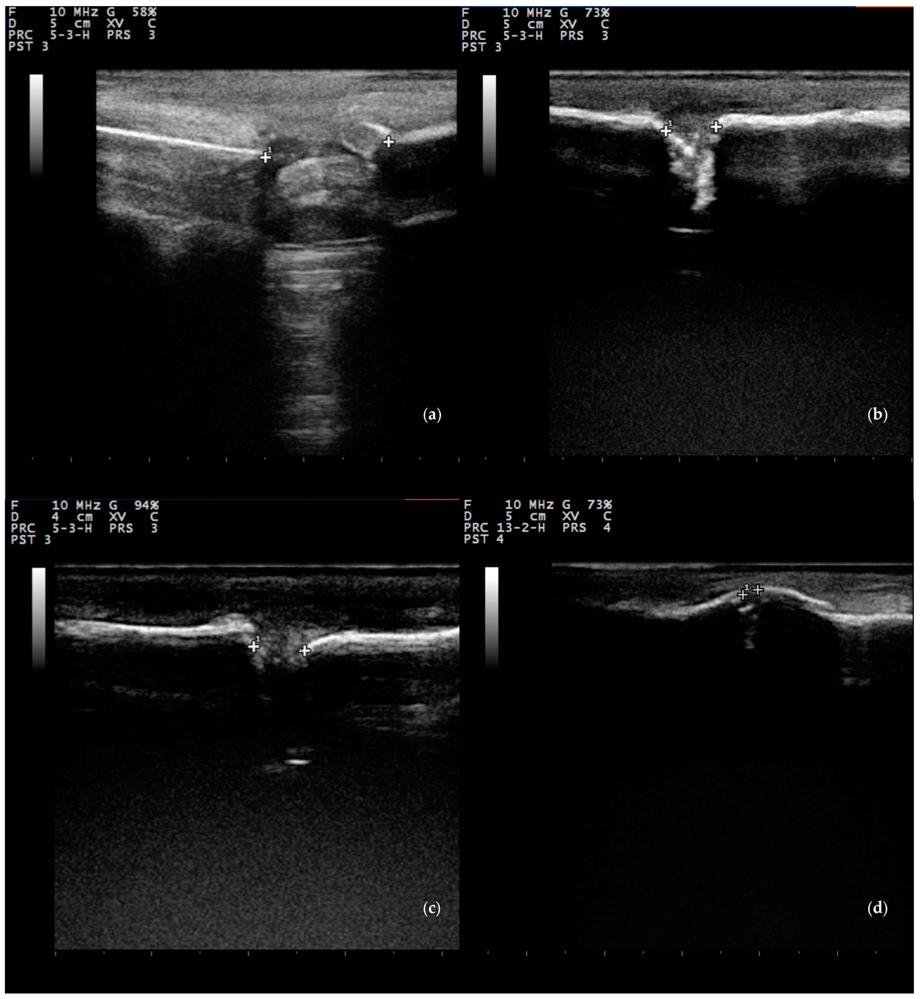 Animals 13 02871 g004