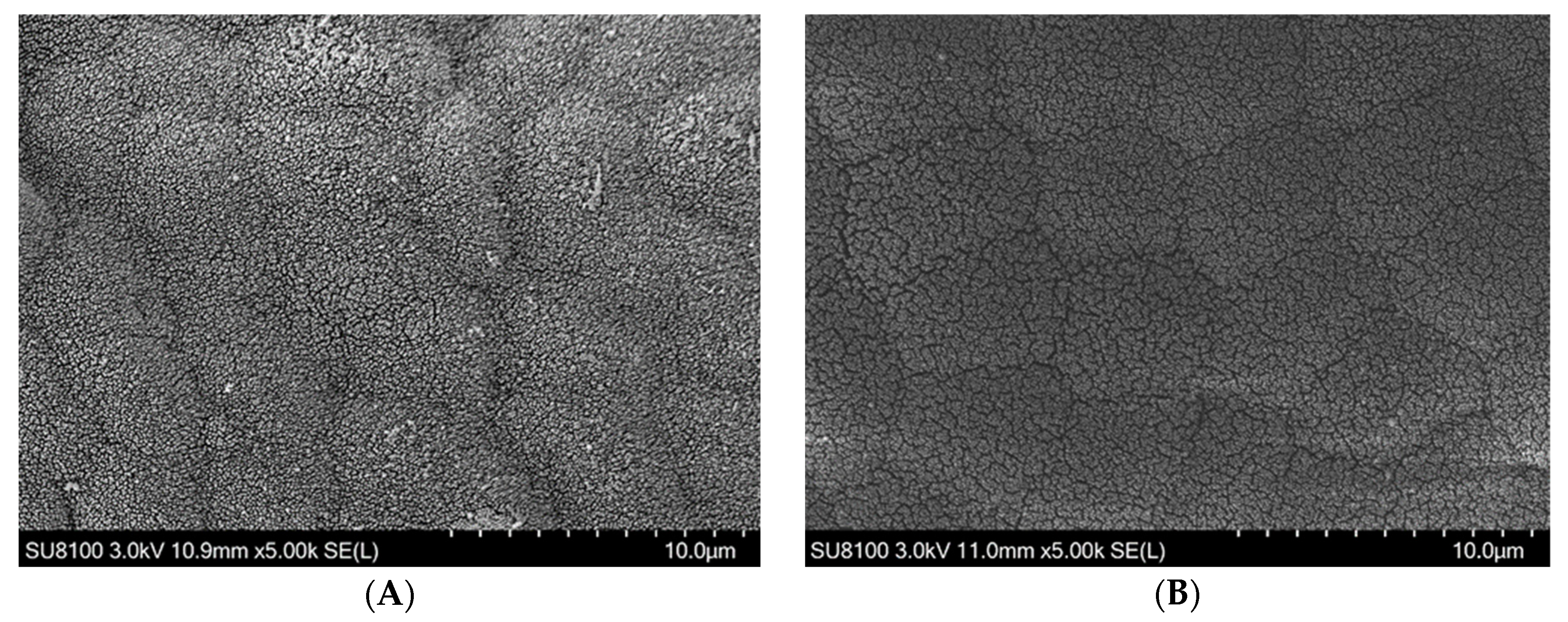 Animals 13 02873 g002a