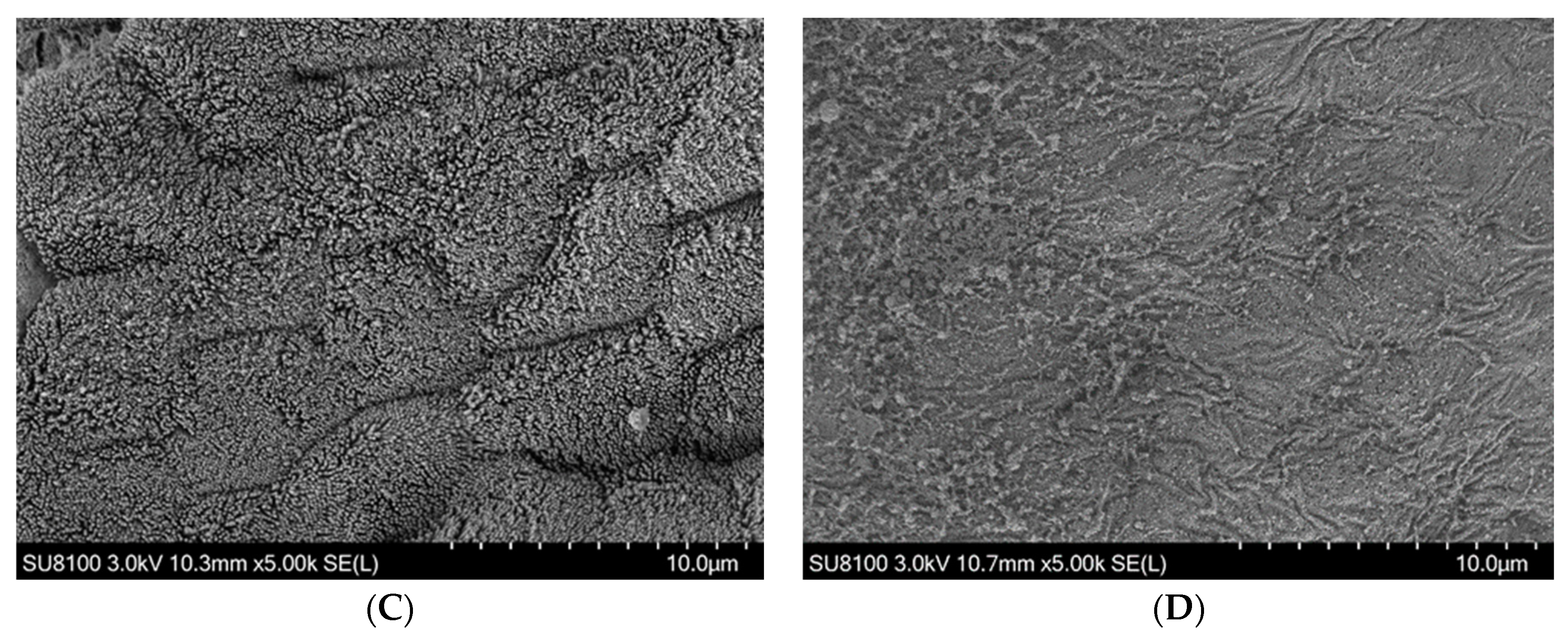 Animals 13 02873 g002b