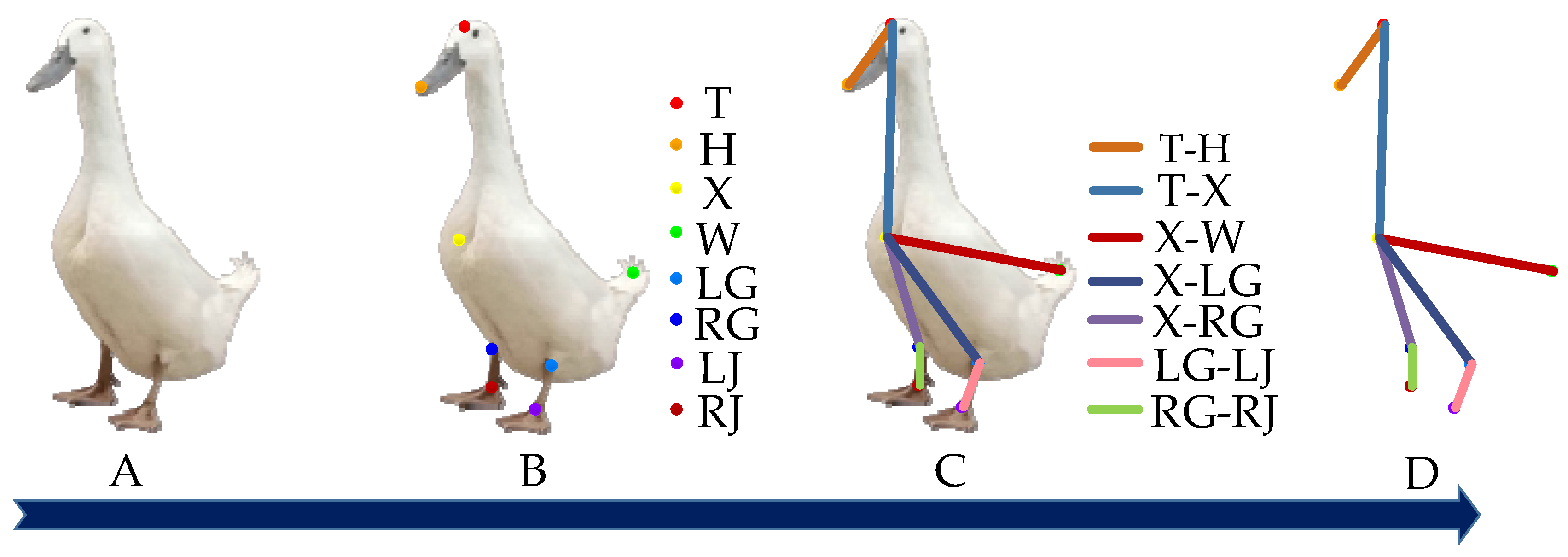 Animals 13 02878 g002