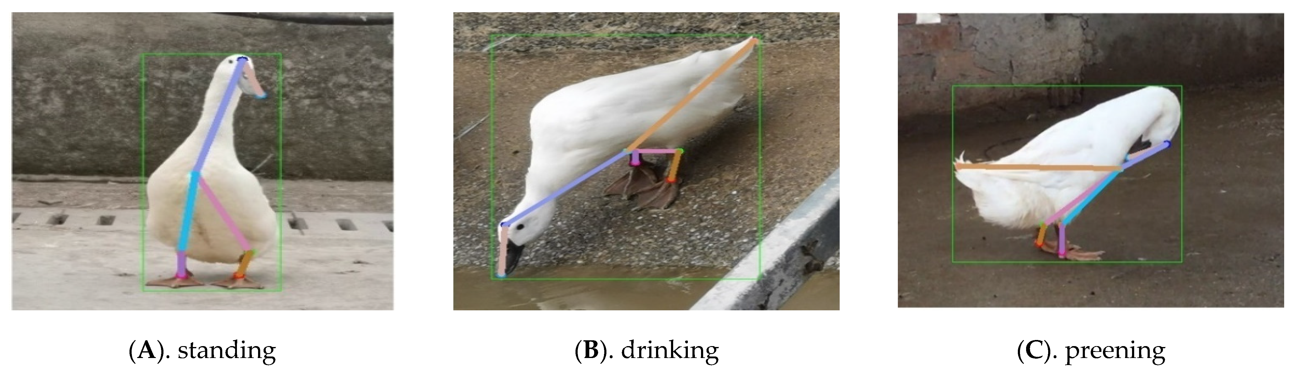 Animals 13 02878 g014a