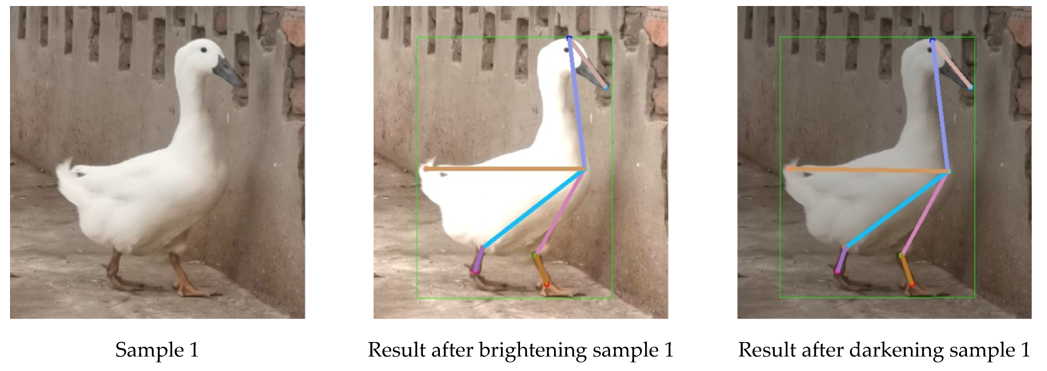 Animals 13 02878 g017a