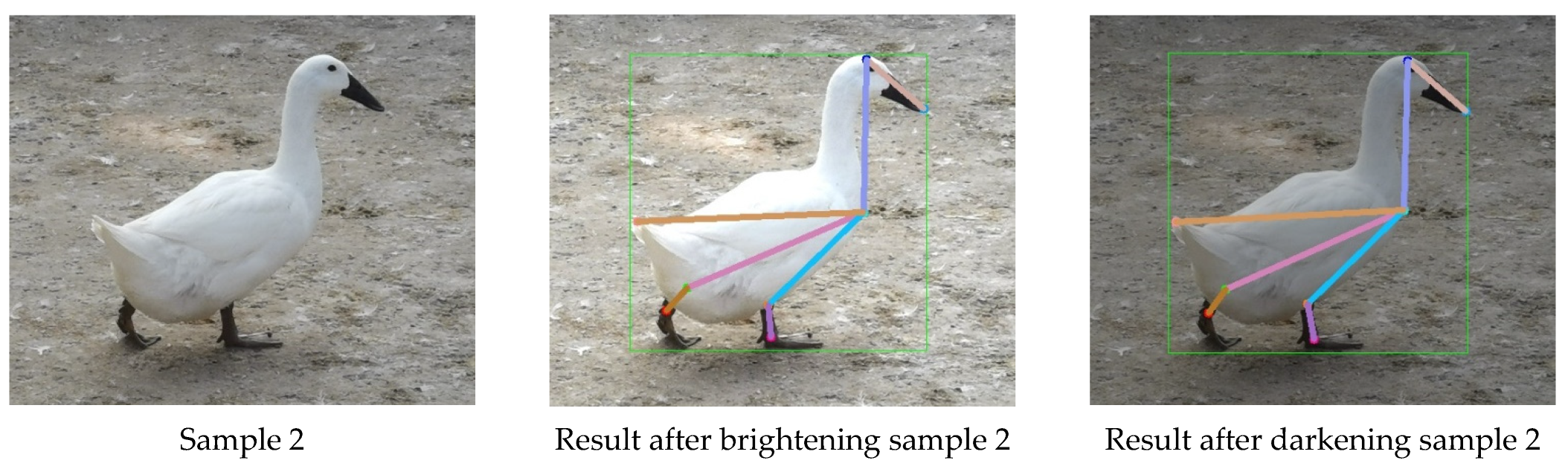 Animals 13 02878 g017b