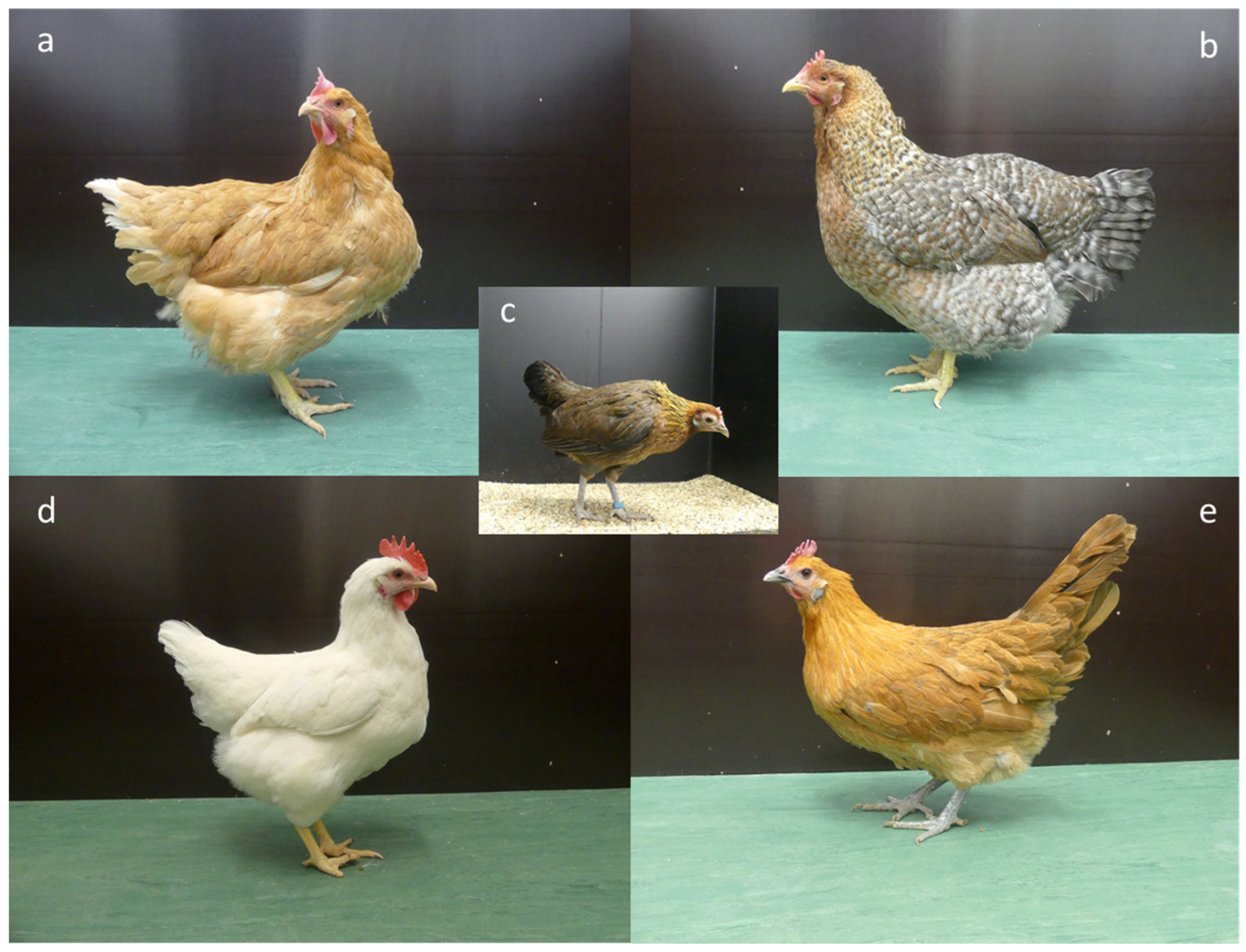 Animals 13 02879 g001