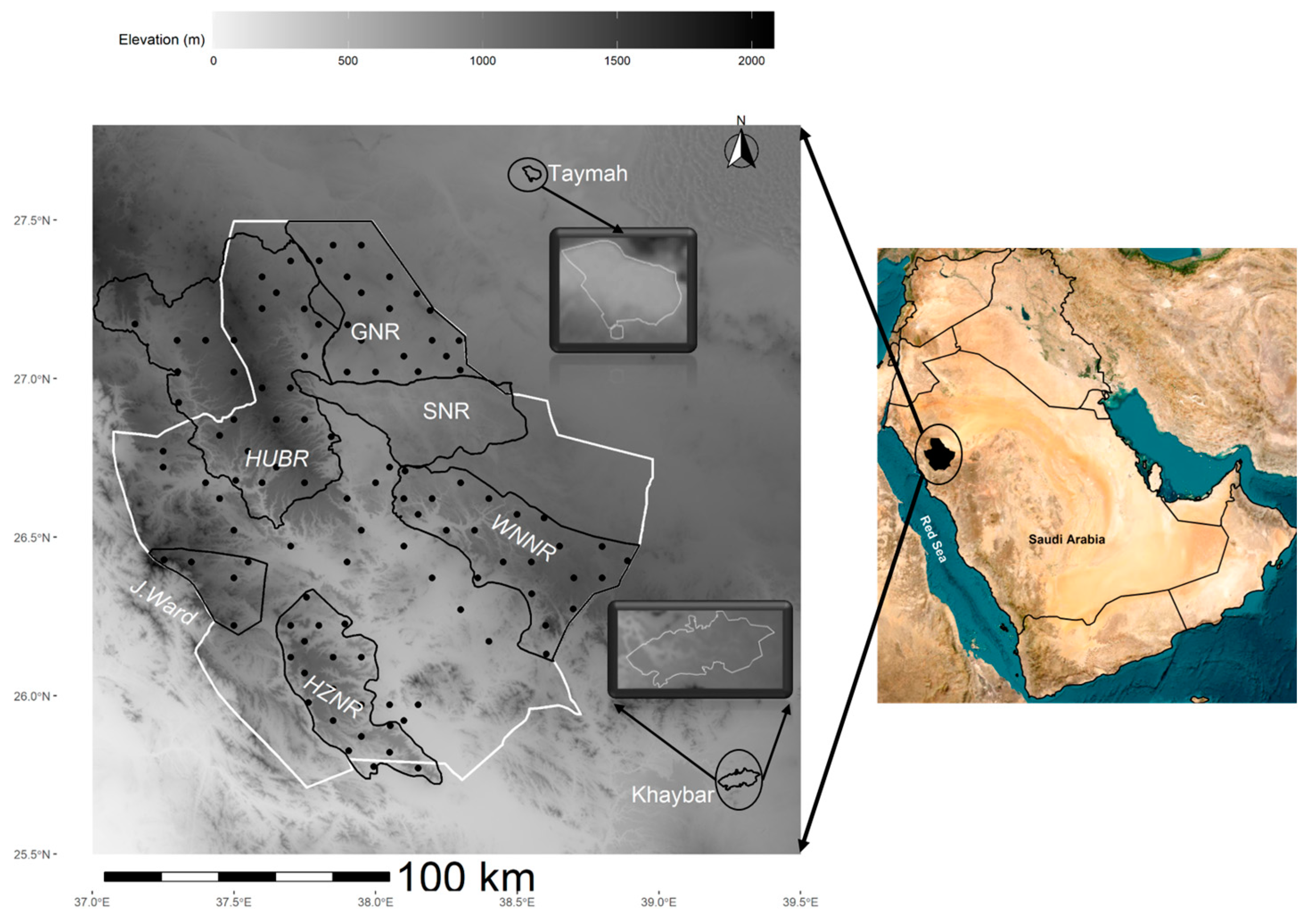 Animals 13 02885 g001