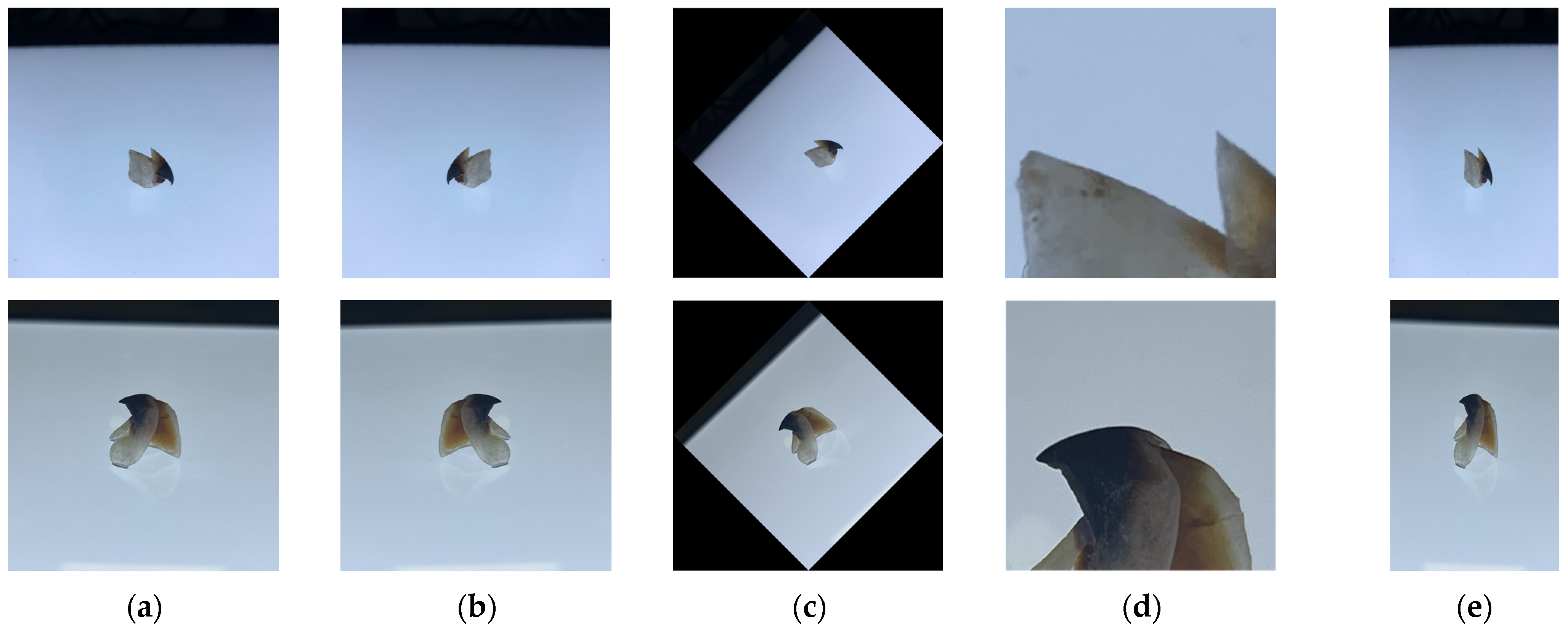 Animals 13 02891 g002