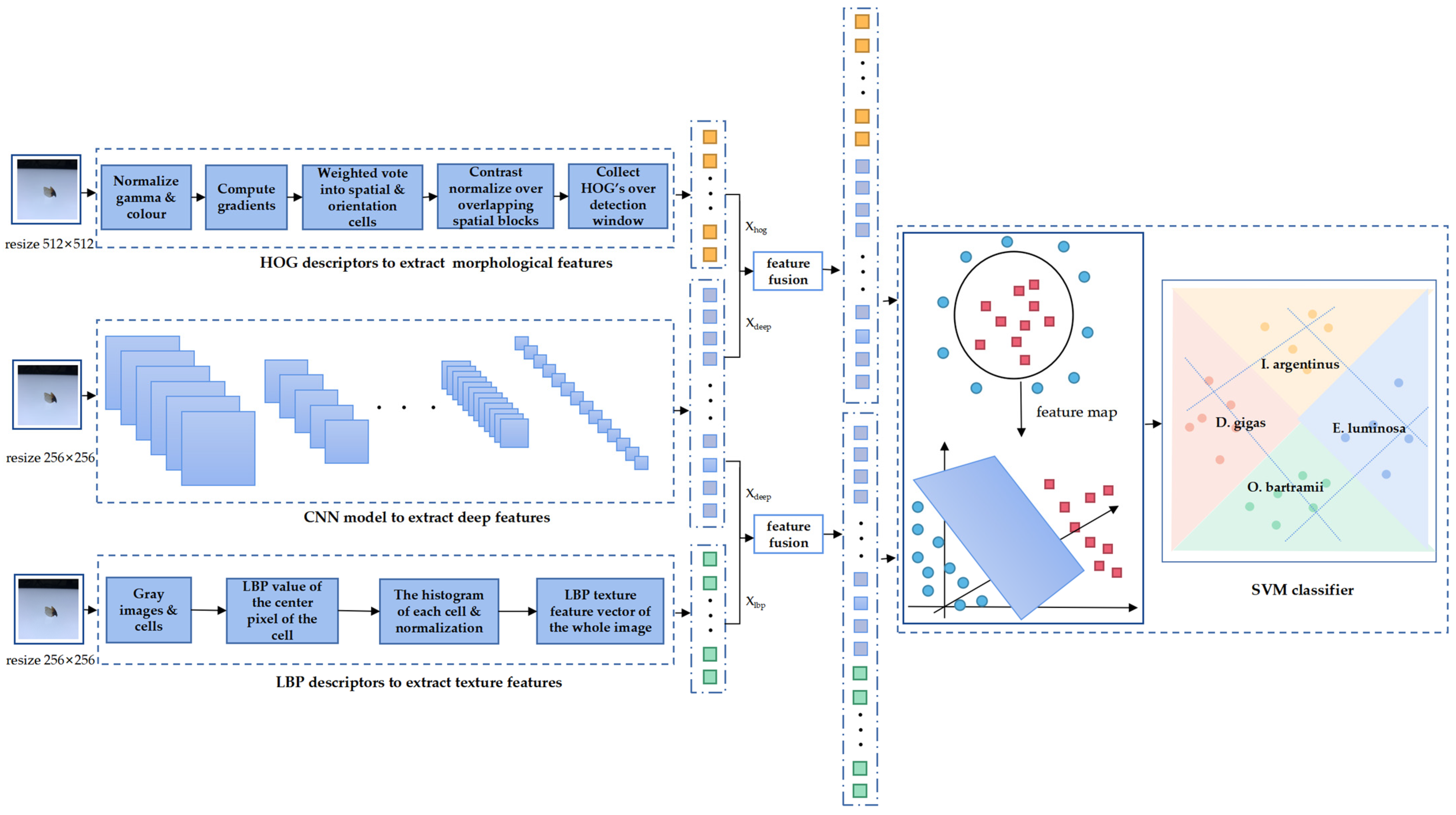 Animals 13 02891 g003