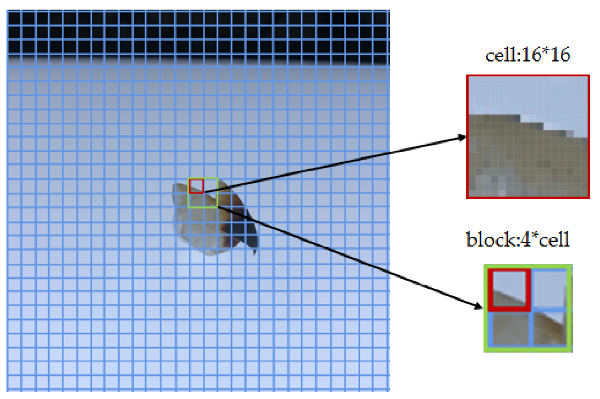 Animals 13 02891 g005