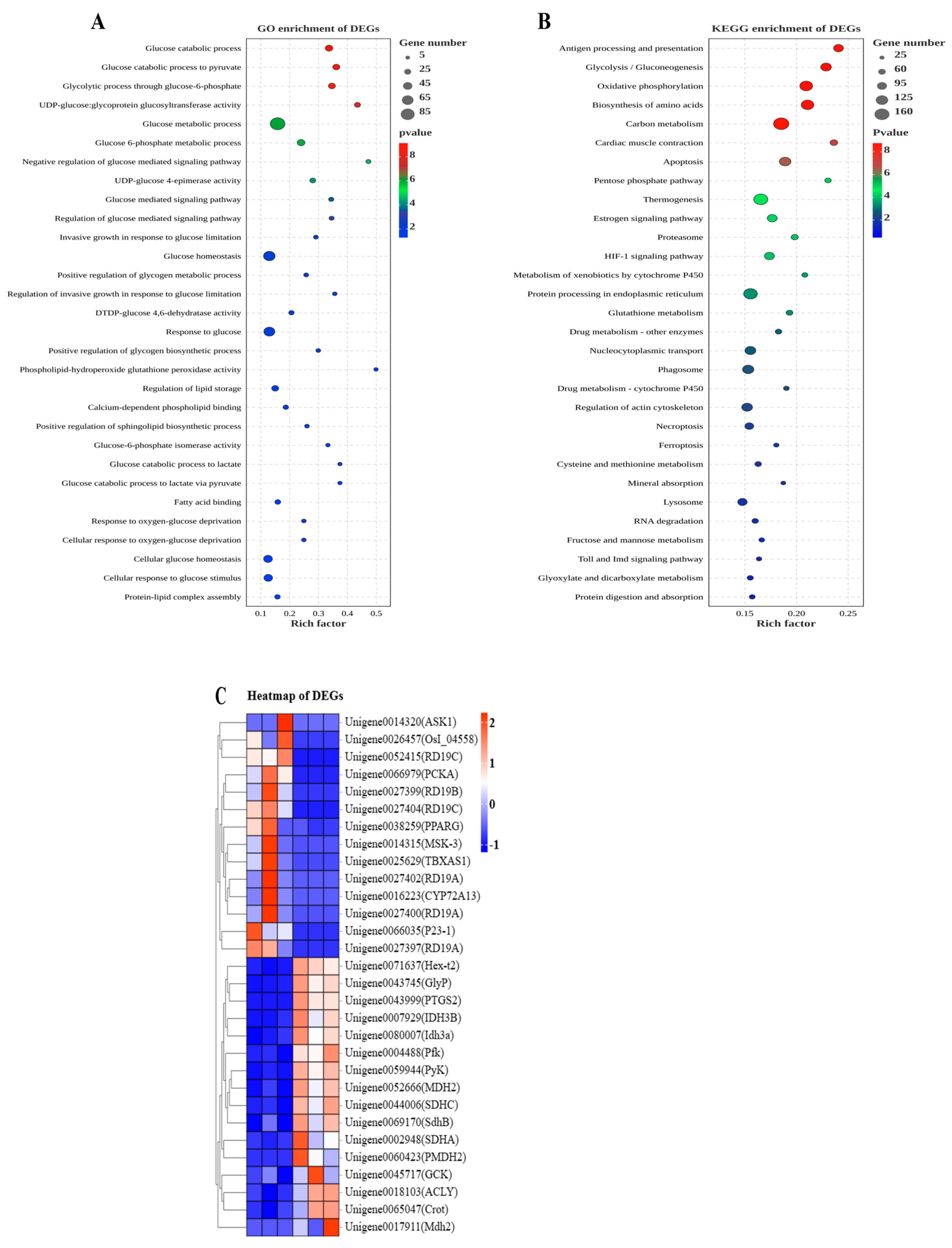 Animals 13 02894 g002