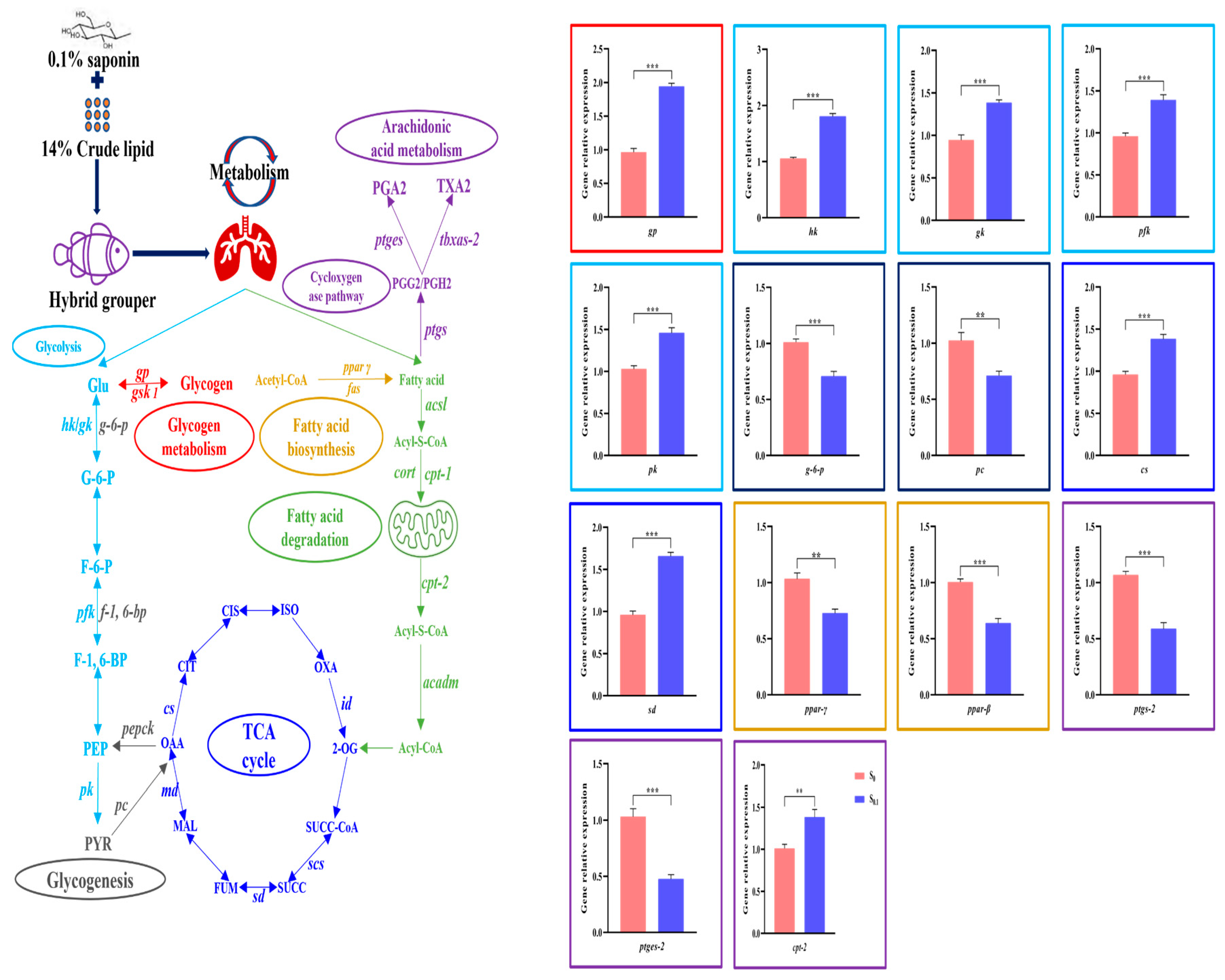 Animals 13 02894 g004