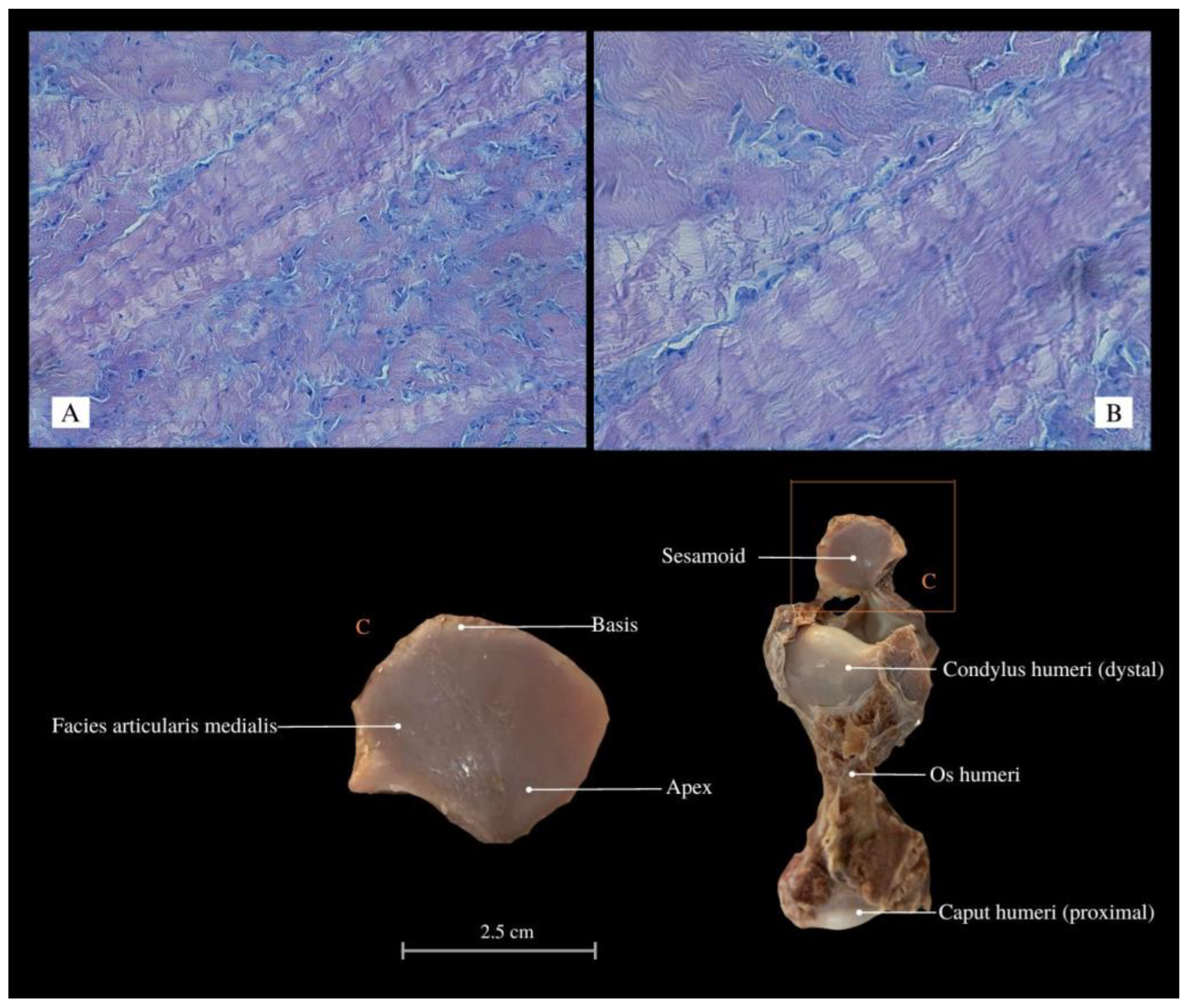 Animals 13 02895 g002