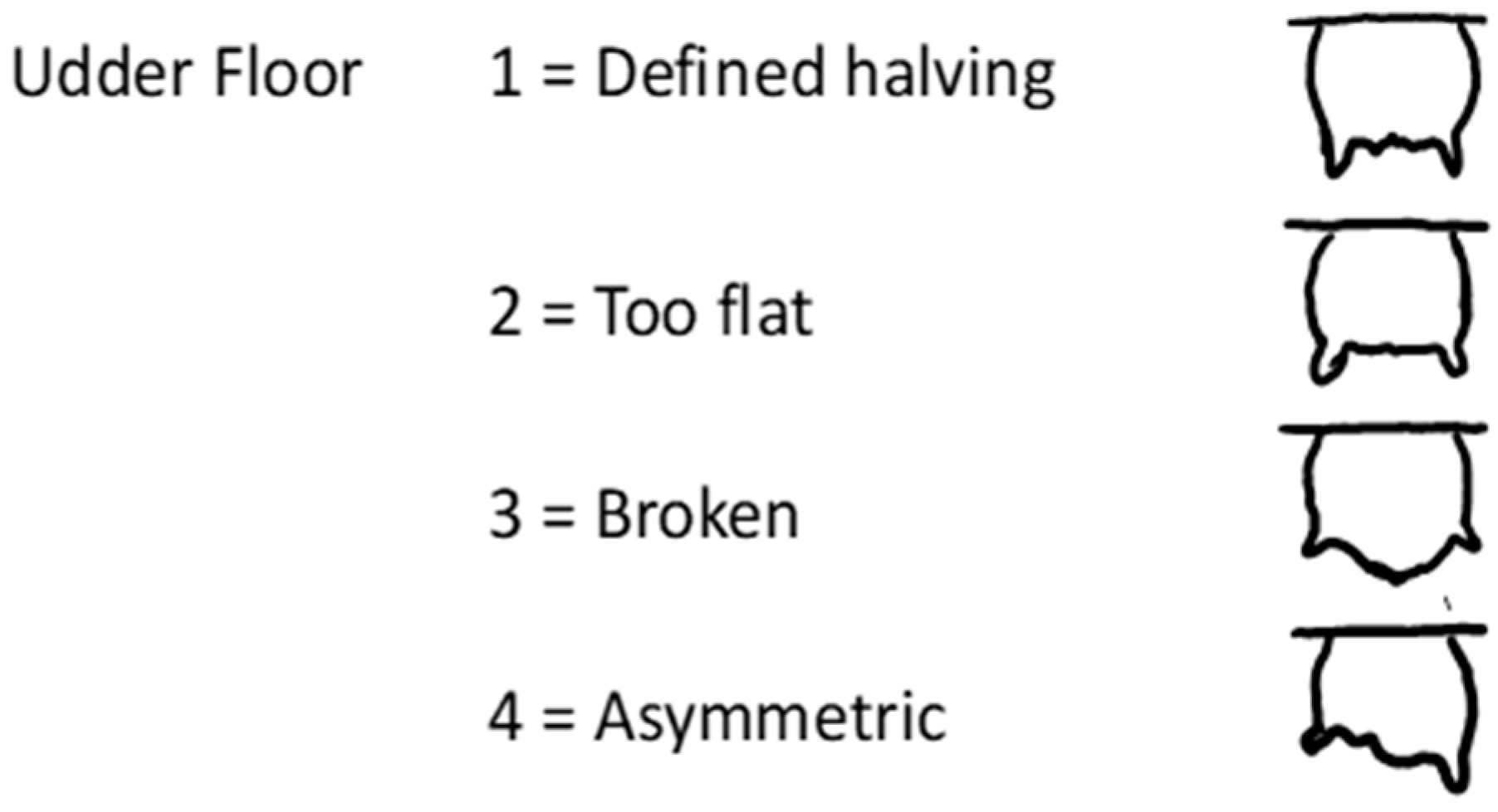 Animals 13 02900 g001