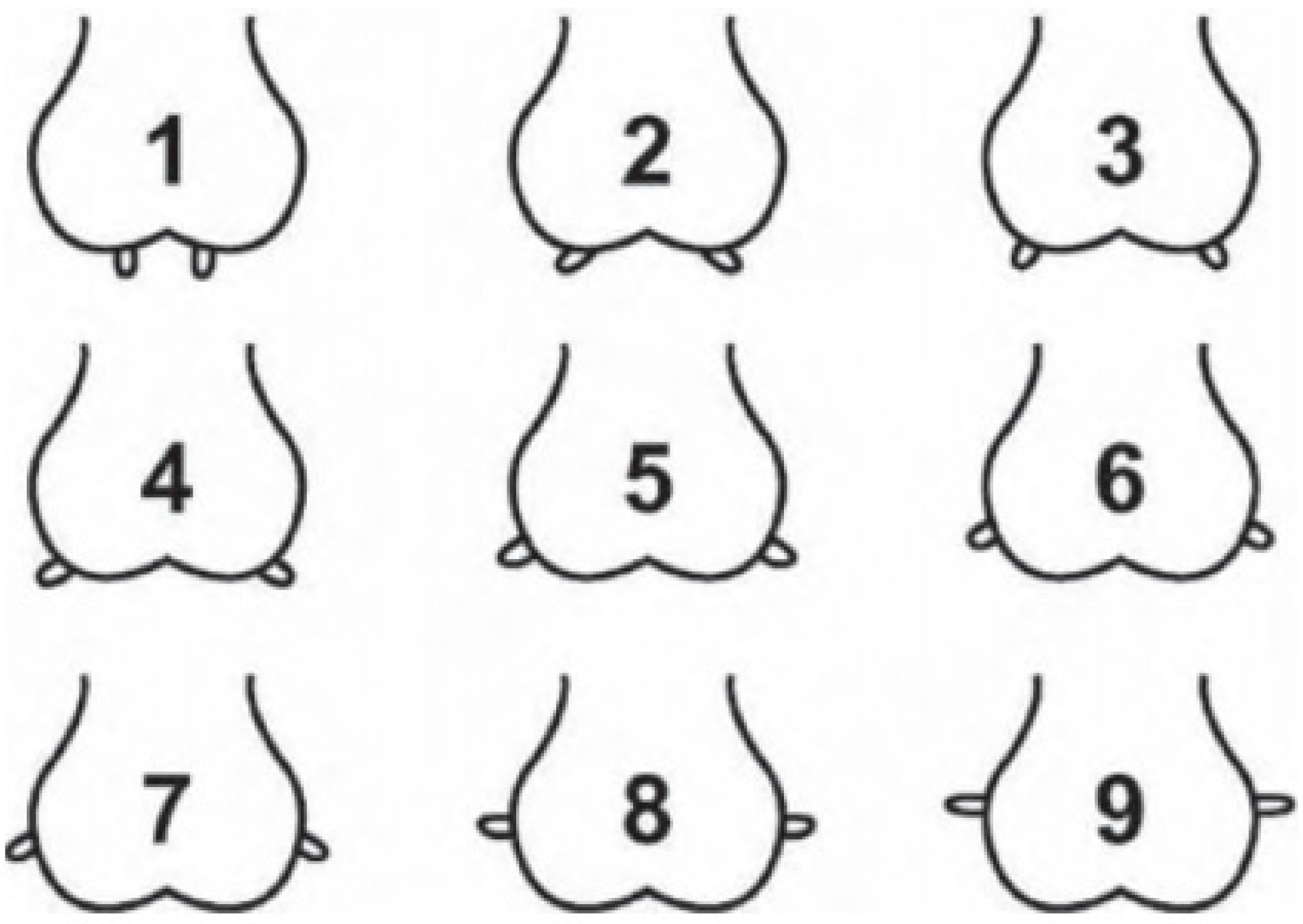 Animals 13 02900 g003