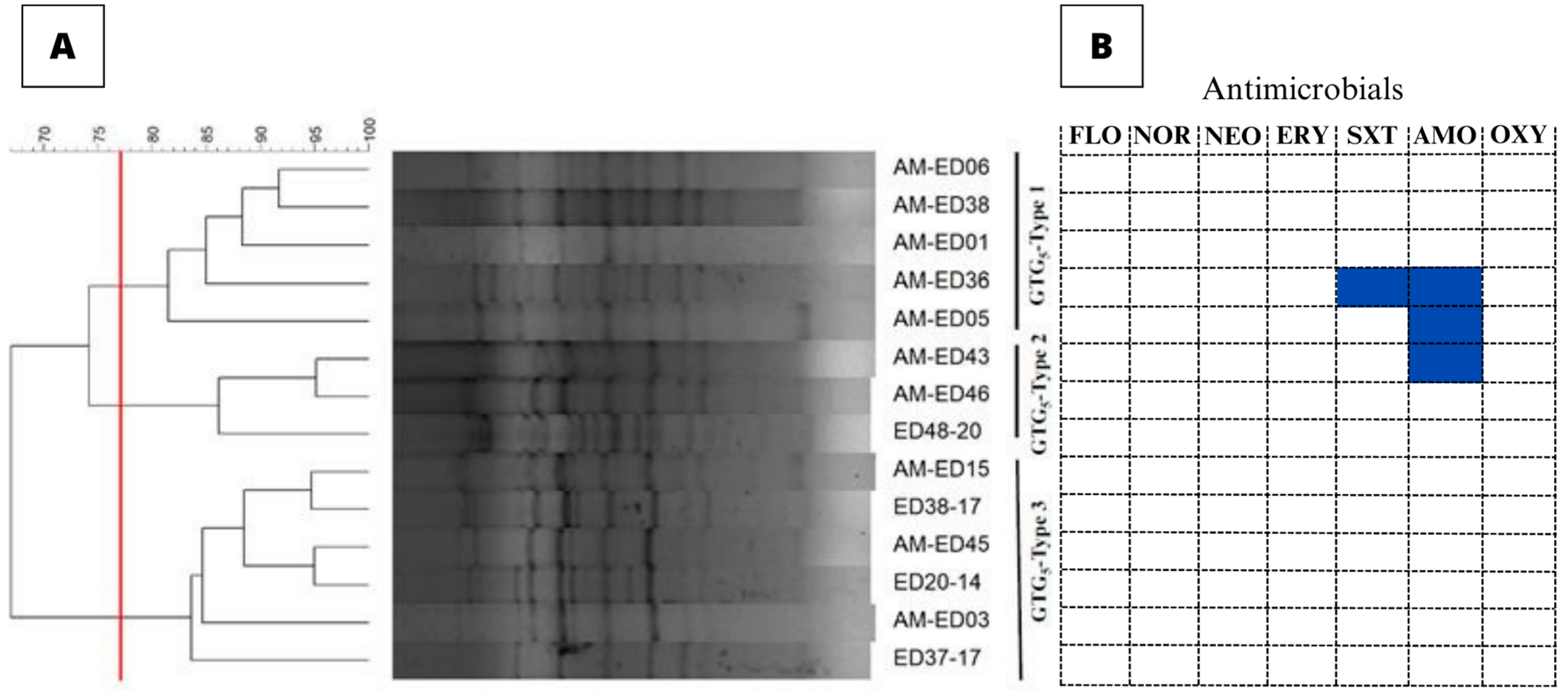 Animals 13 02910 g002 Animals 13 02910 g002
