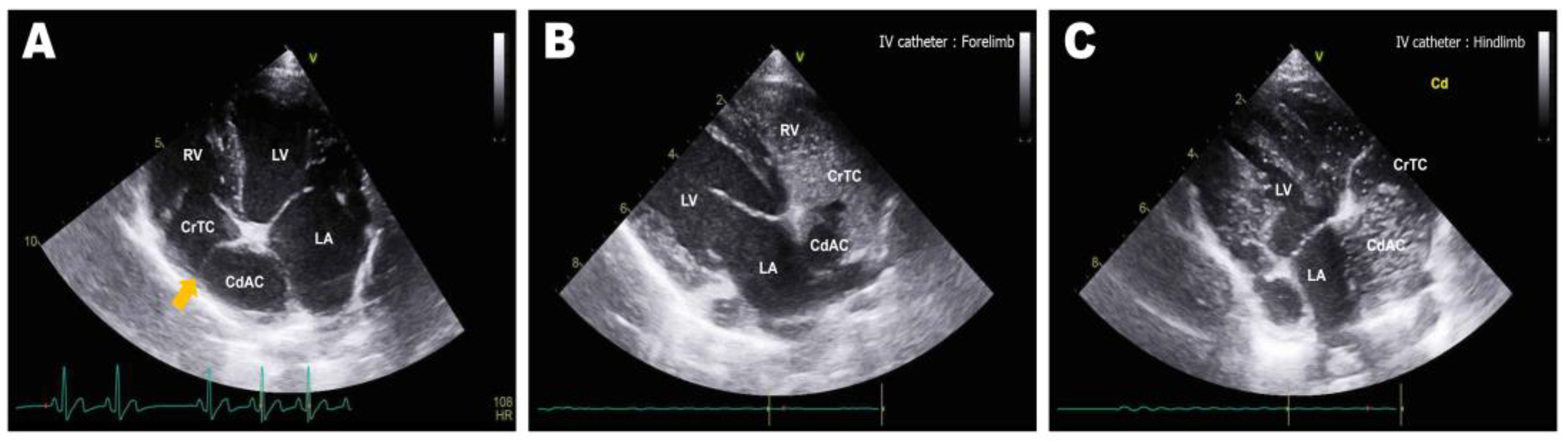 Animals 13 02921 g002