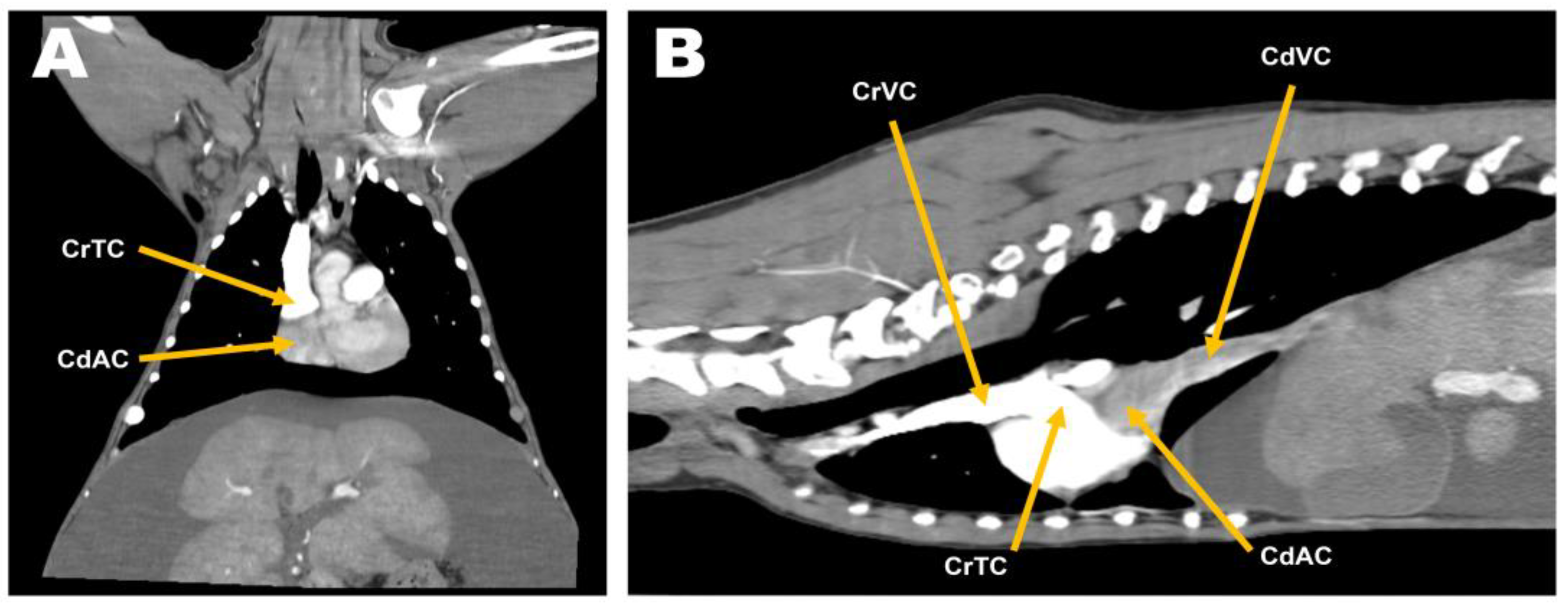 Animals 13 02921 g003