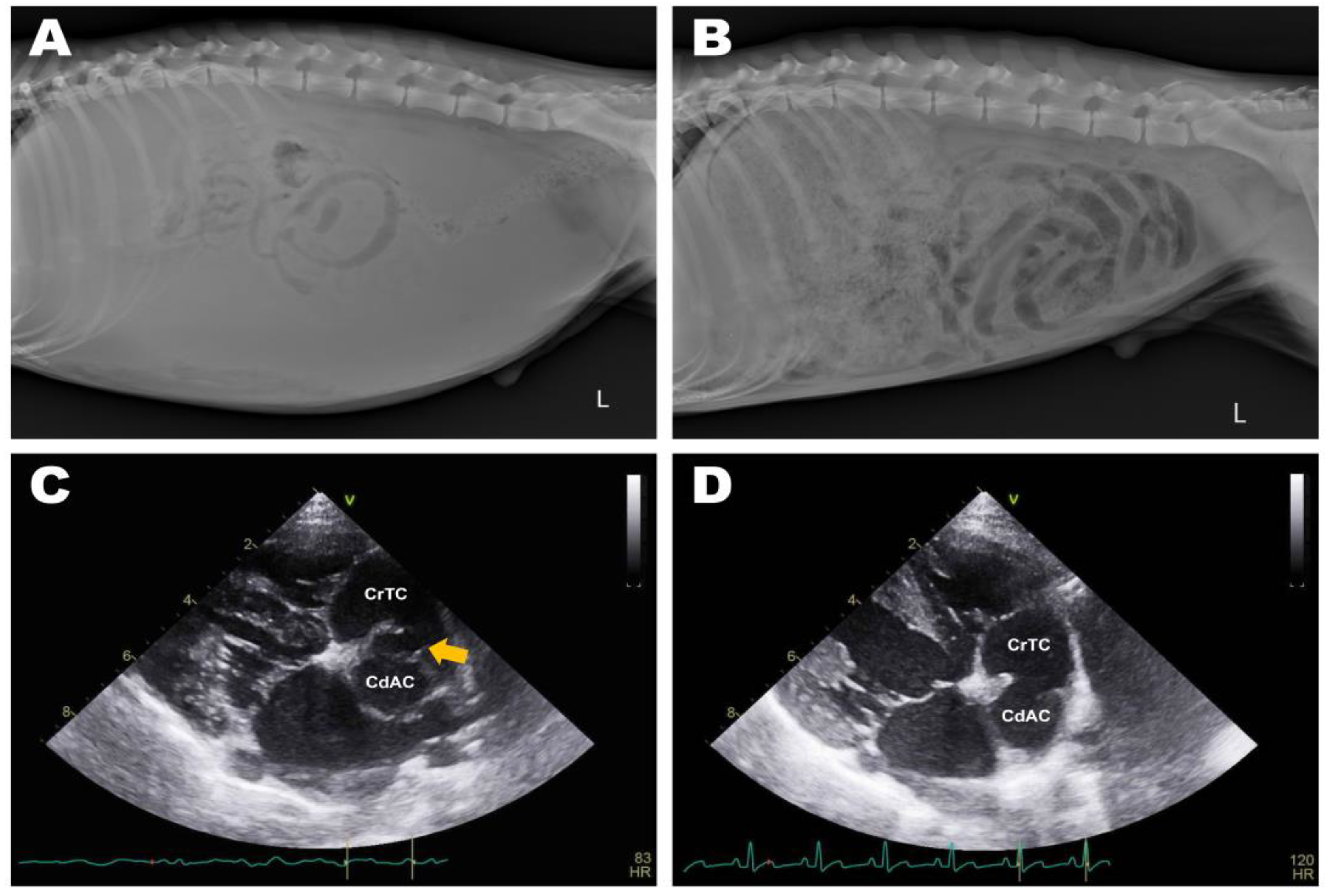 Animals 13 02921 g005