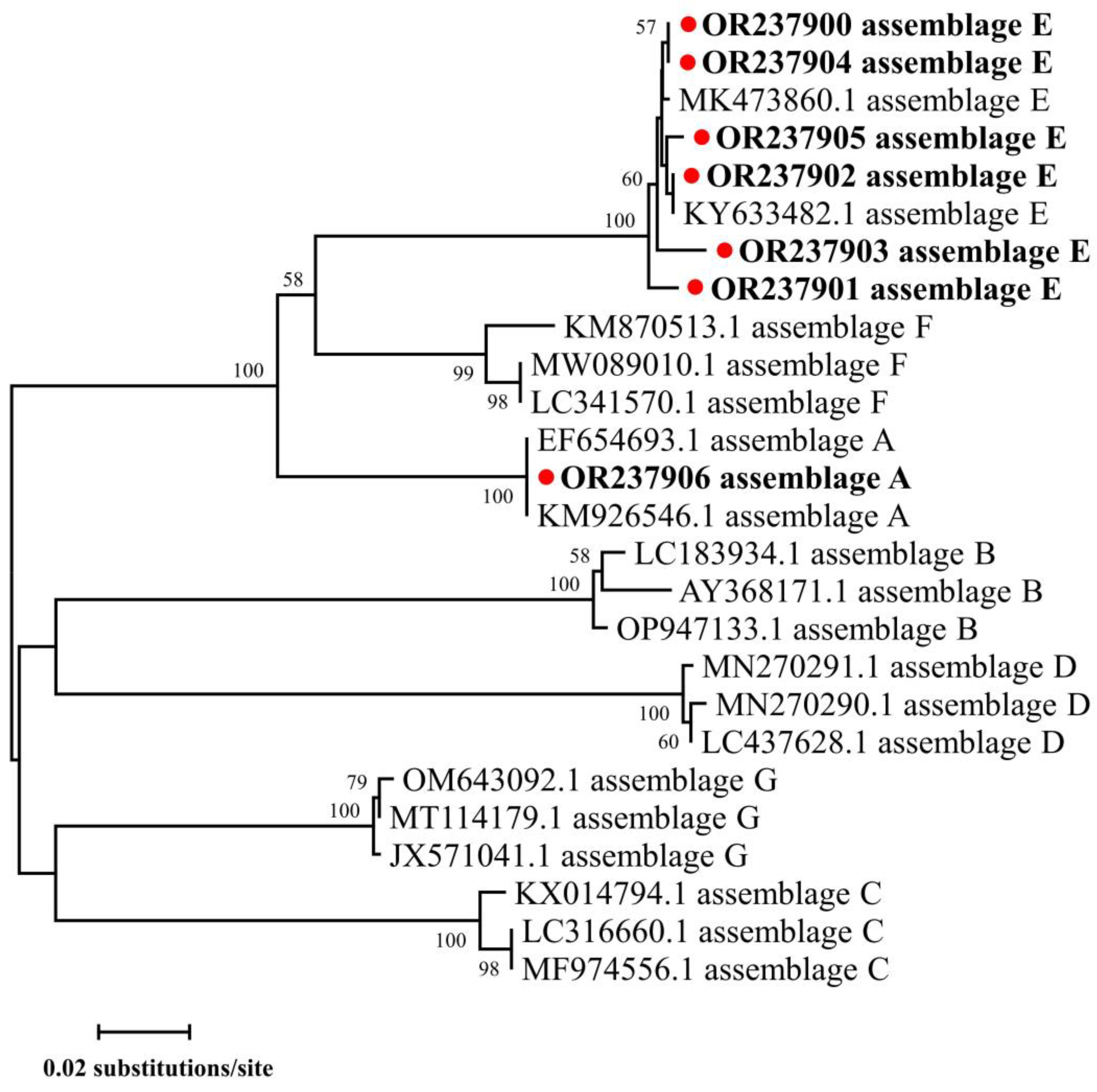 Animals 13 02922 g003