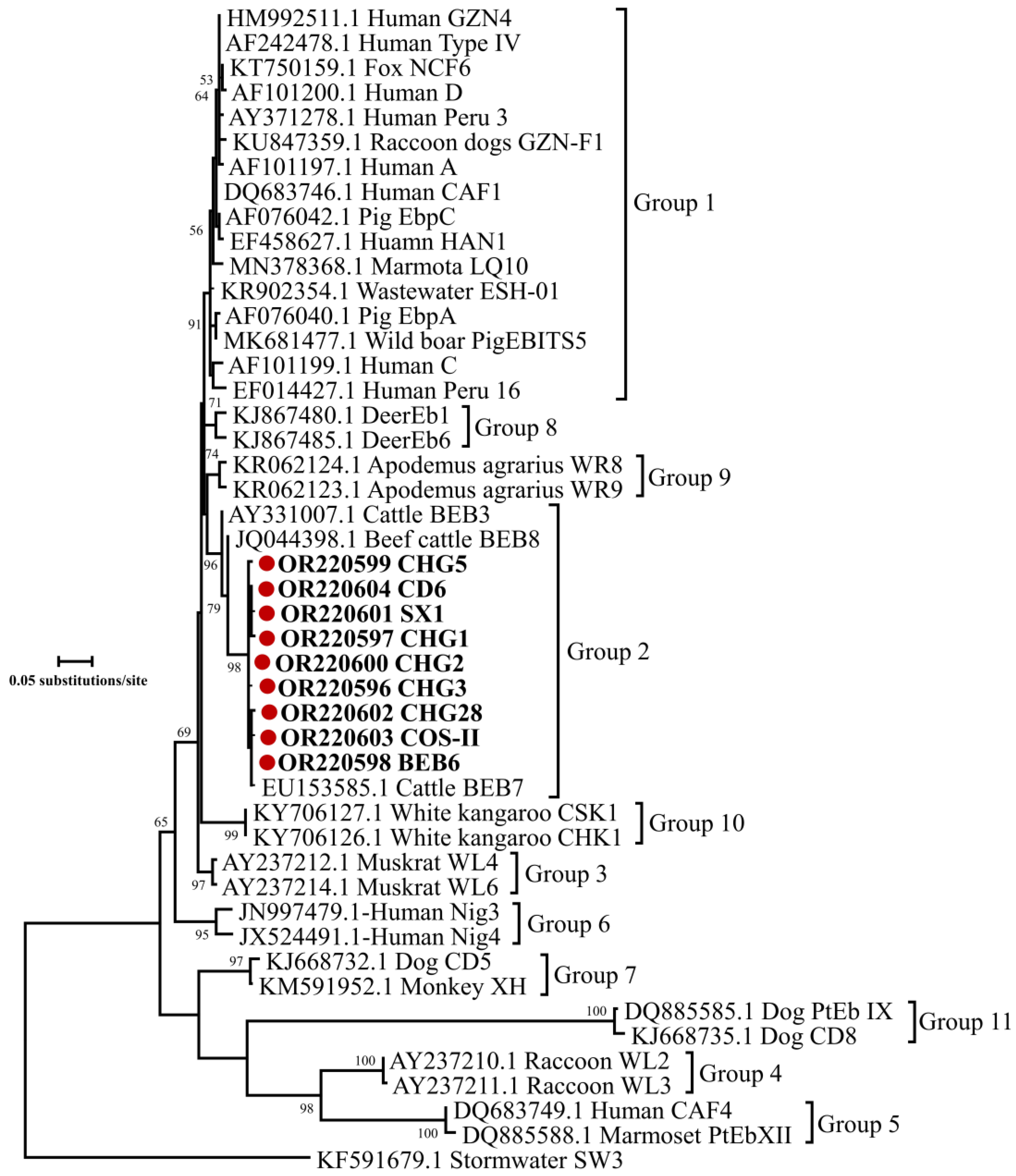 Animals 13 02922 g004