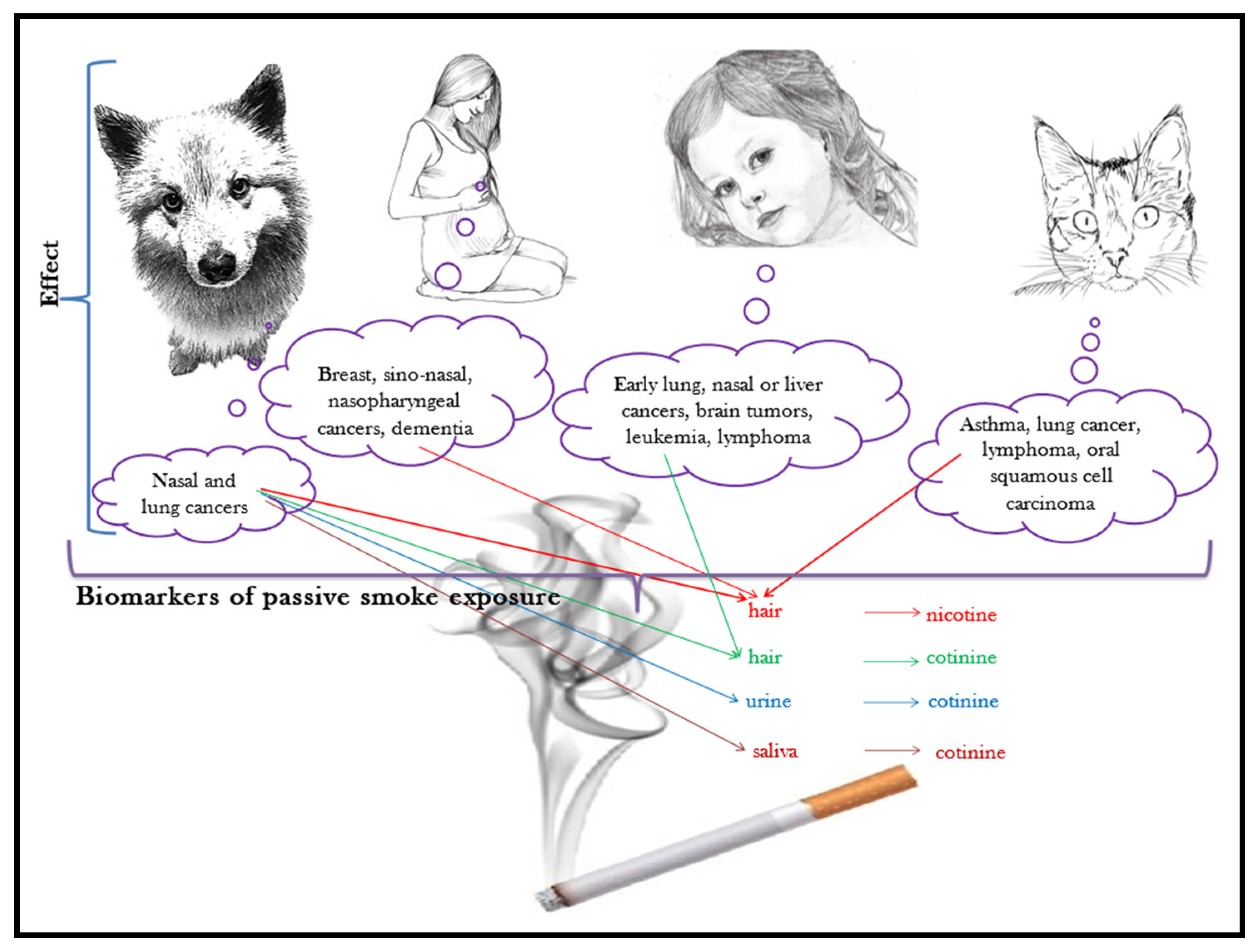 Domestic Dogs and Horses as Sentinels of Per- and Polyfluoroalkyl