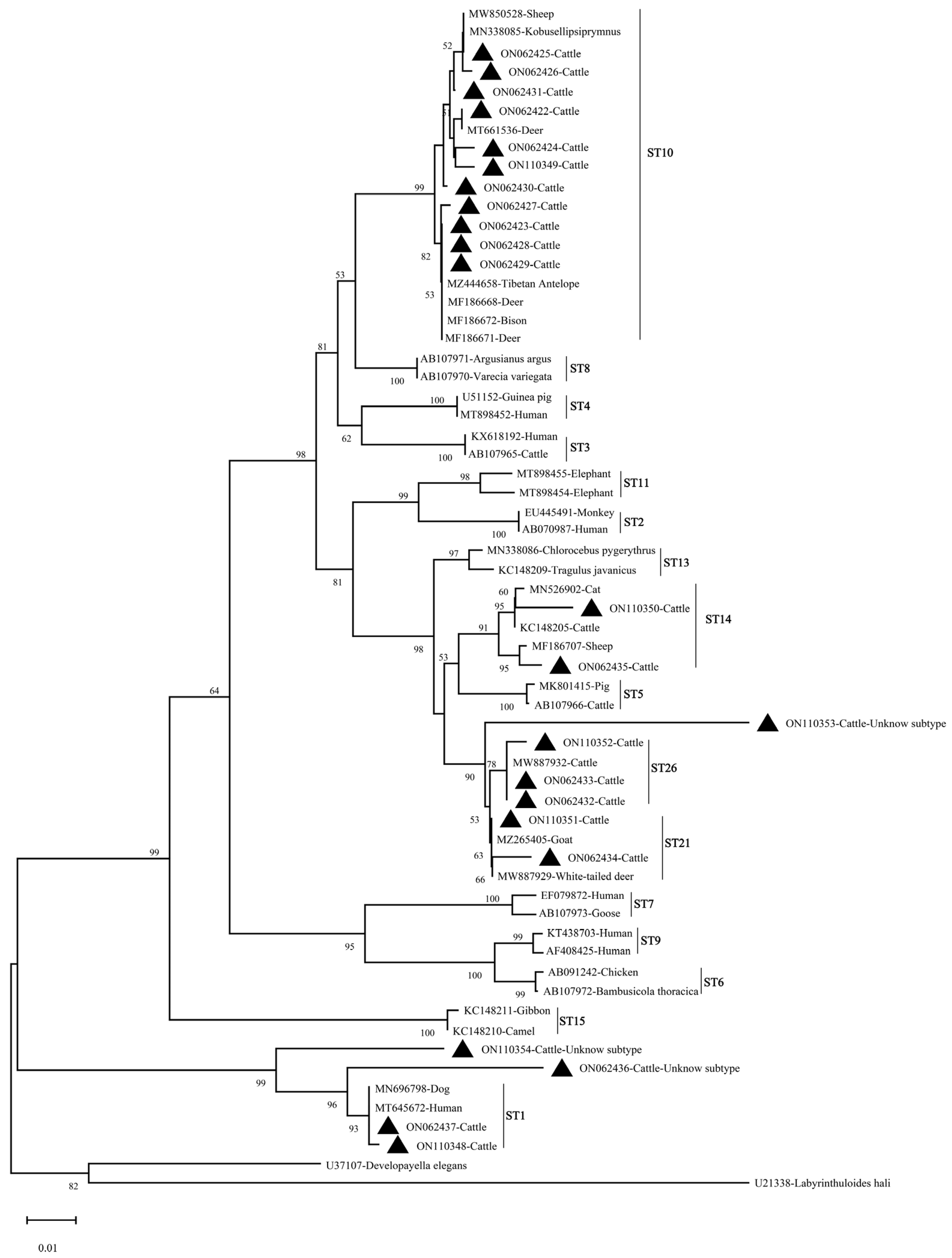 Animals 13 02929 g003