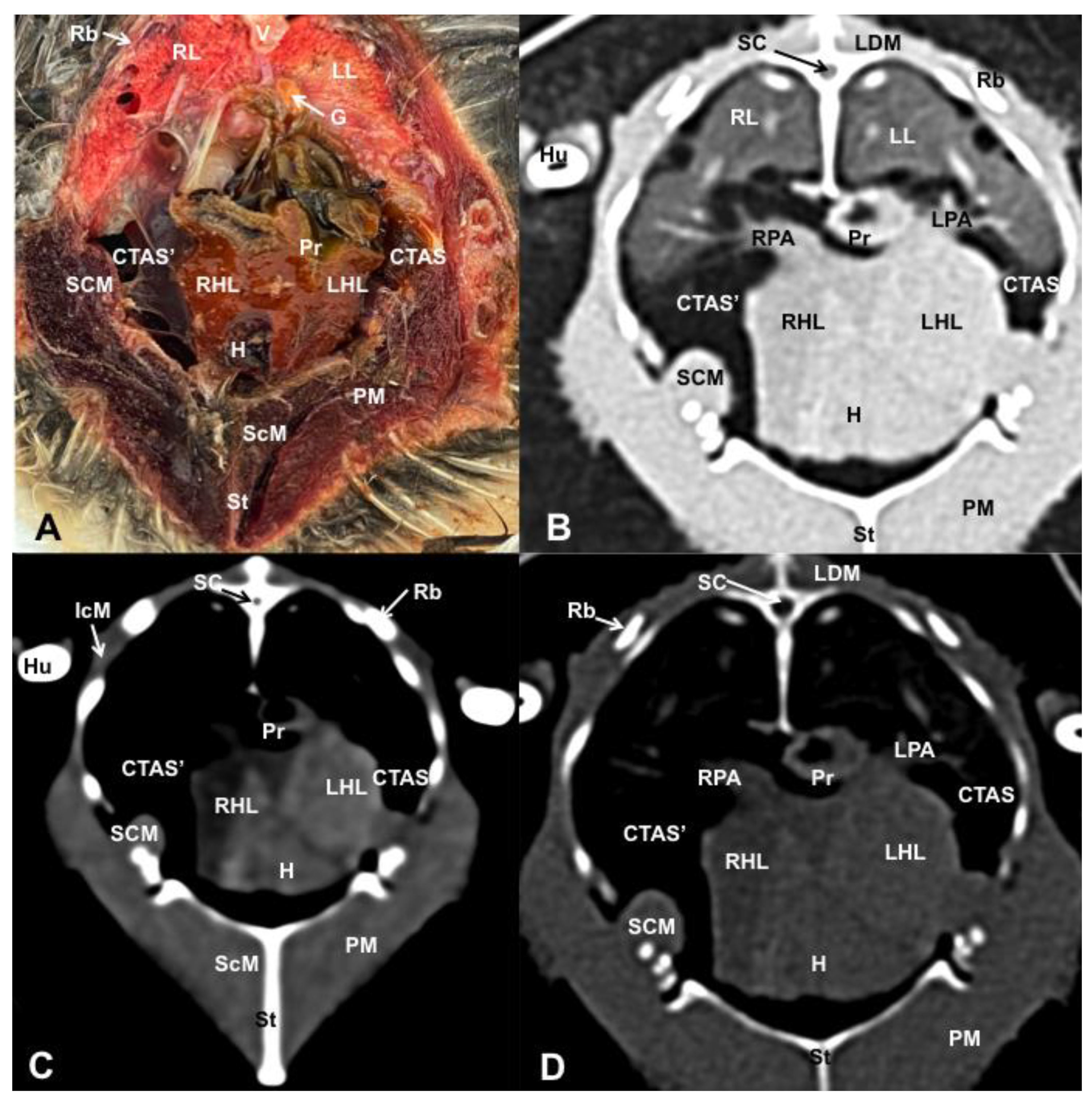 Animals 13 02933 g006