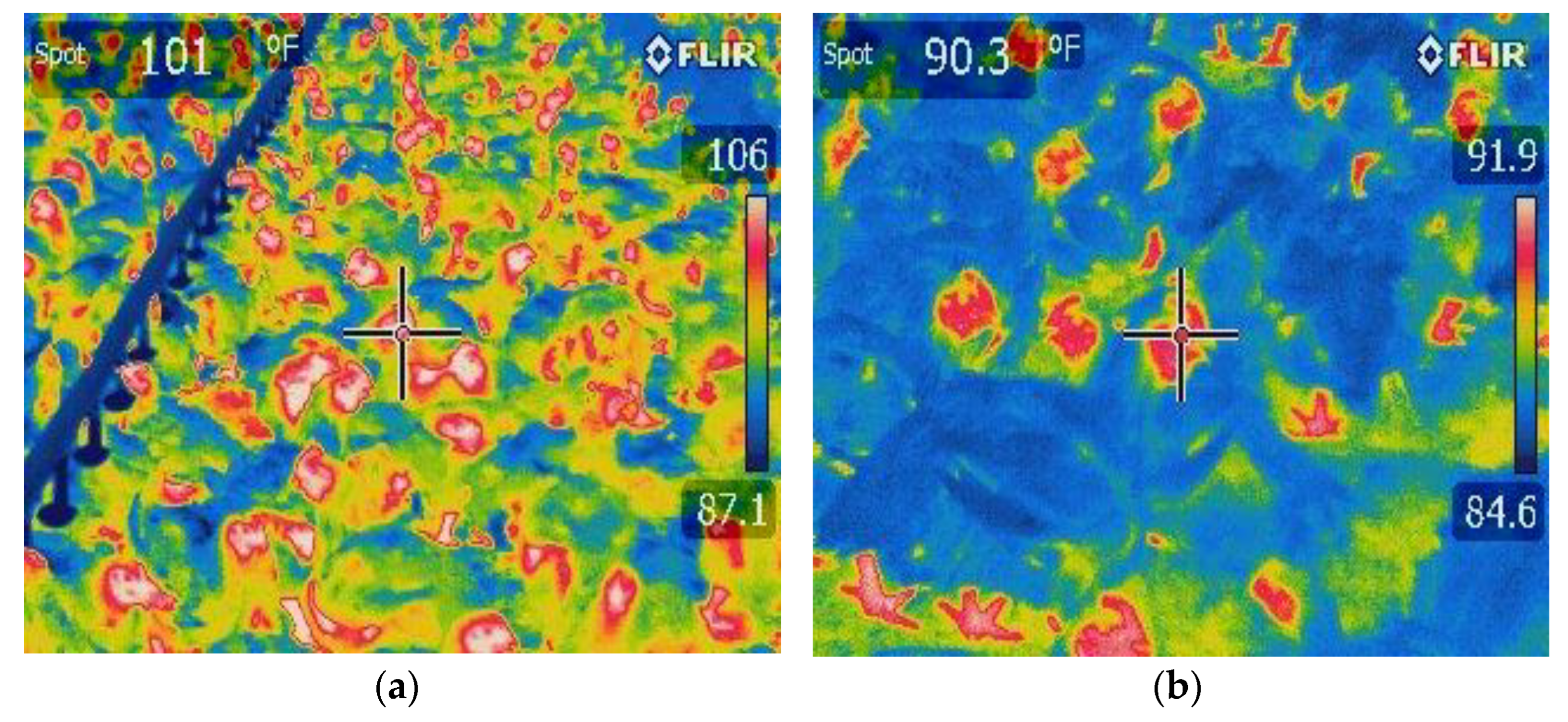 Animals 13 02939 g002