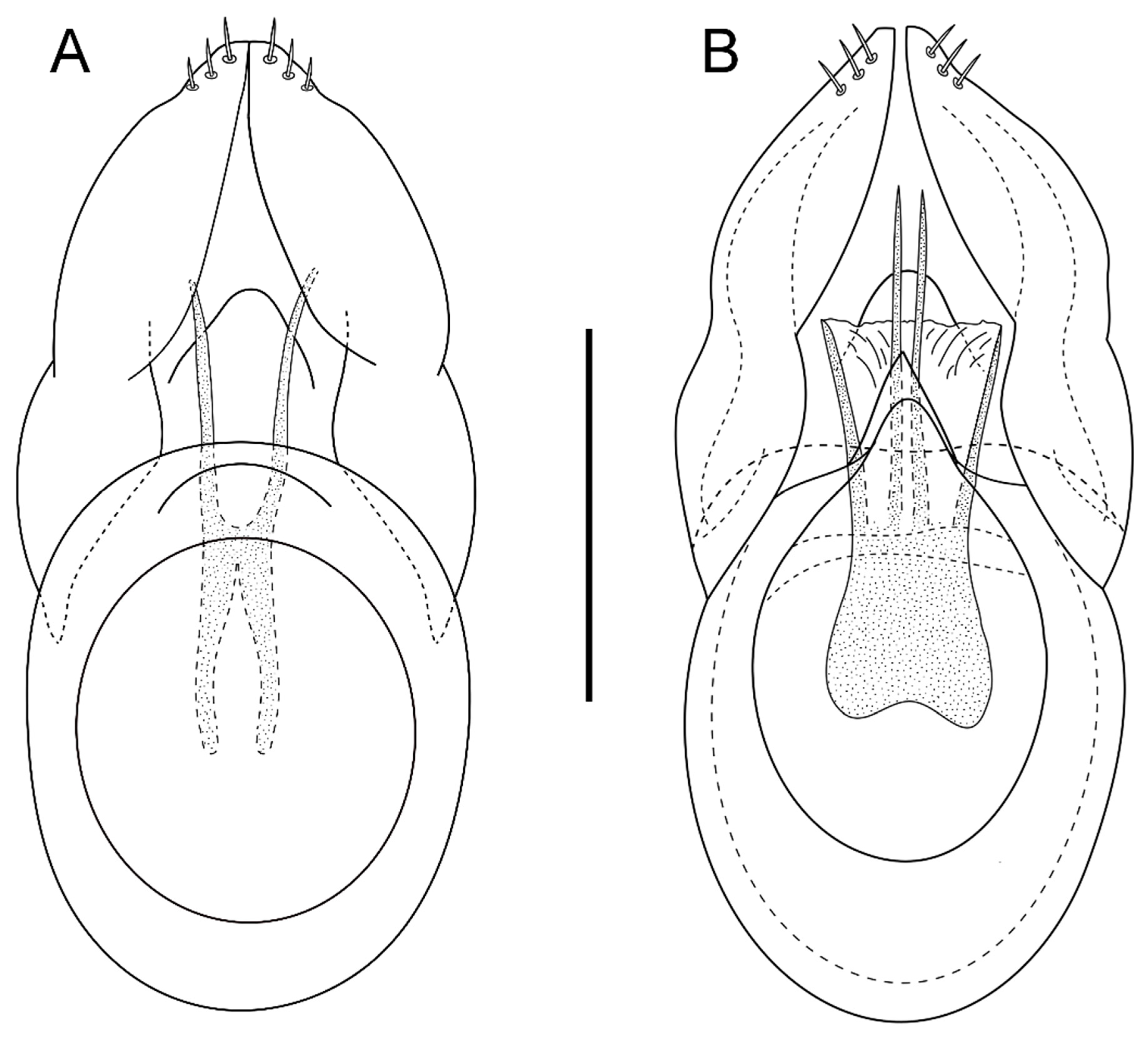 Animals 13 02941 g002