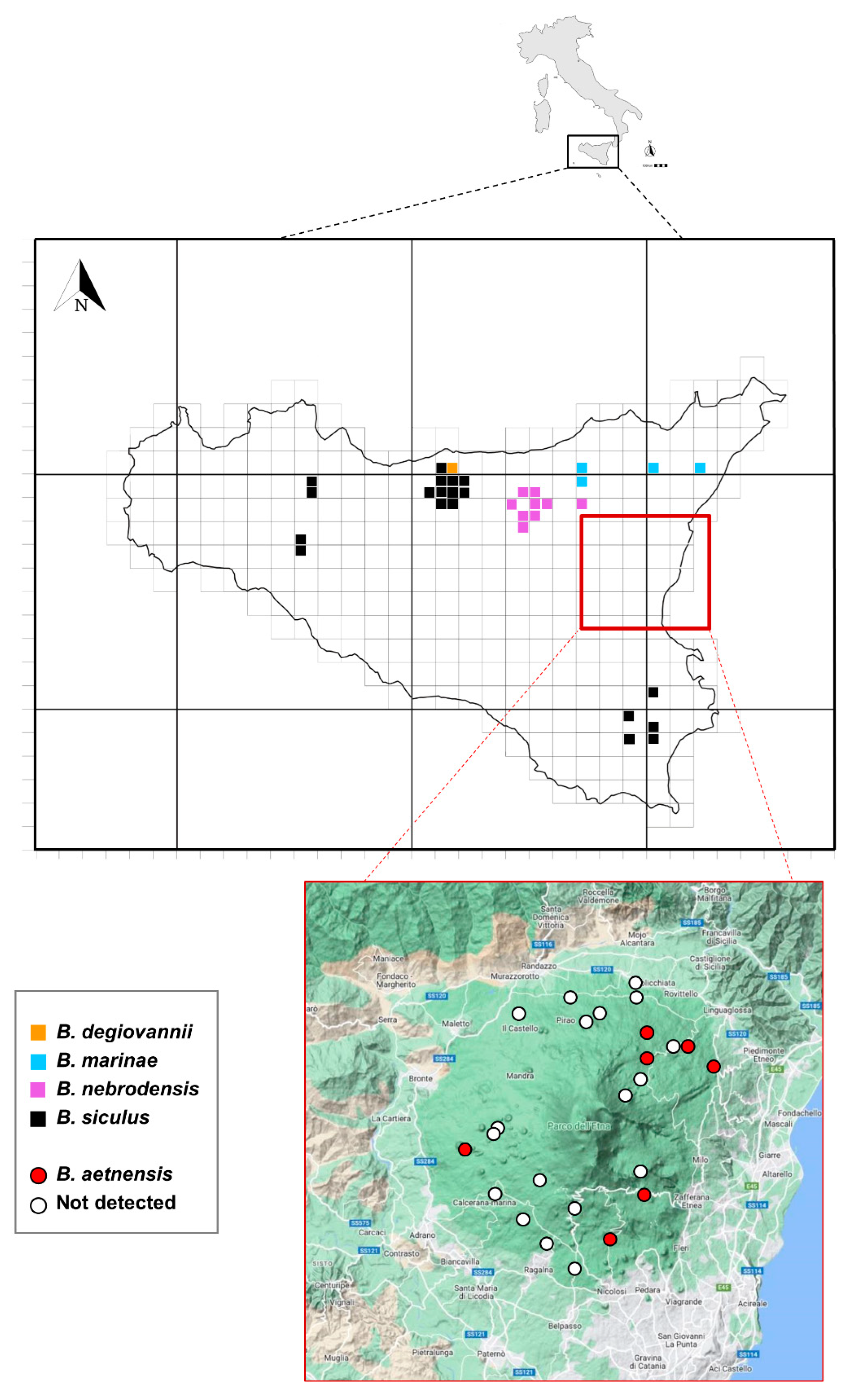 Animals 13 02941 g003