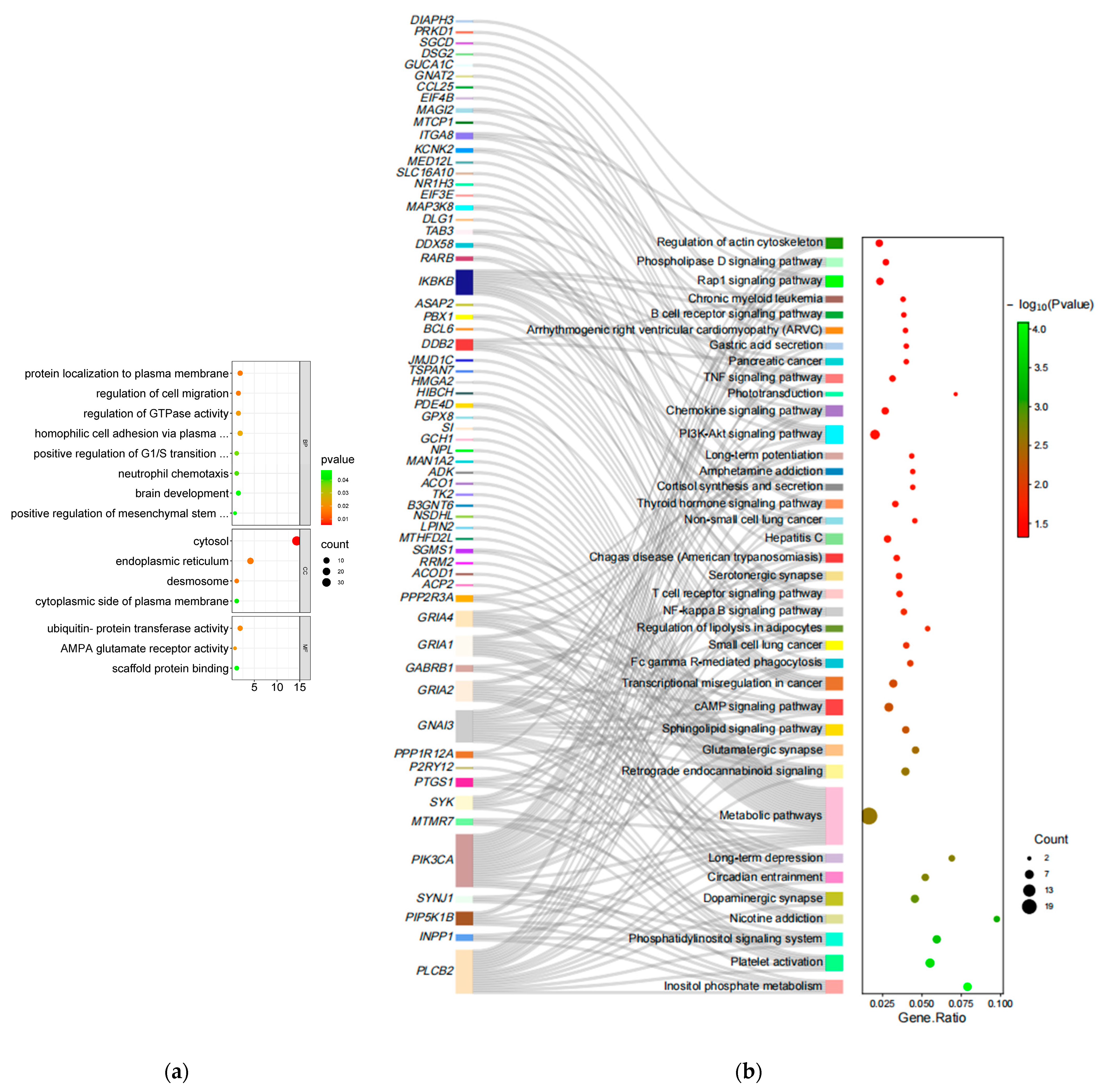 Animals 13 02944 g003a Animals 13 02944 g003a