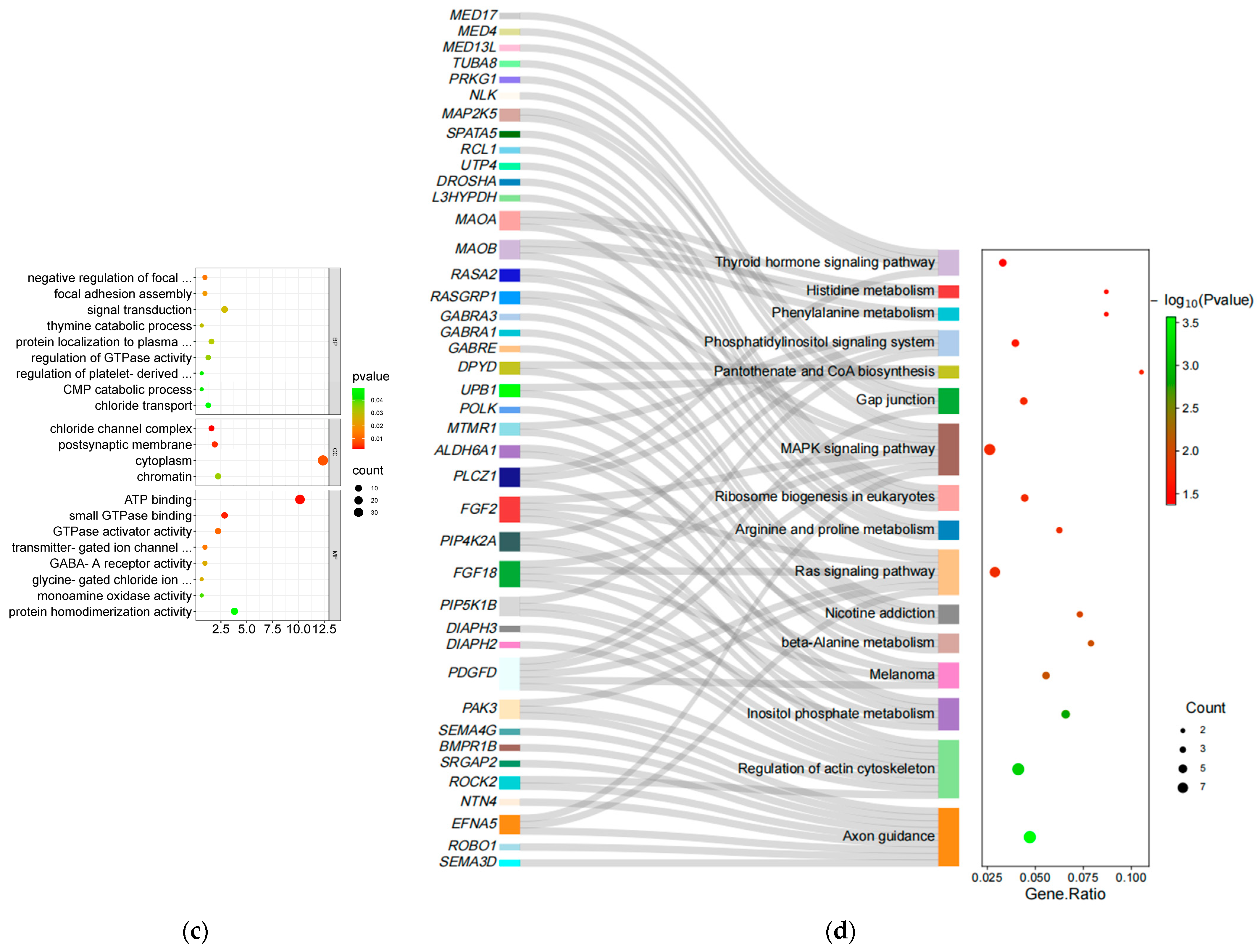Animals 13 02944 g003b Animals 13 02944 g003b