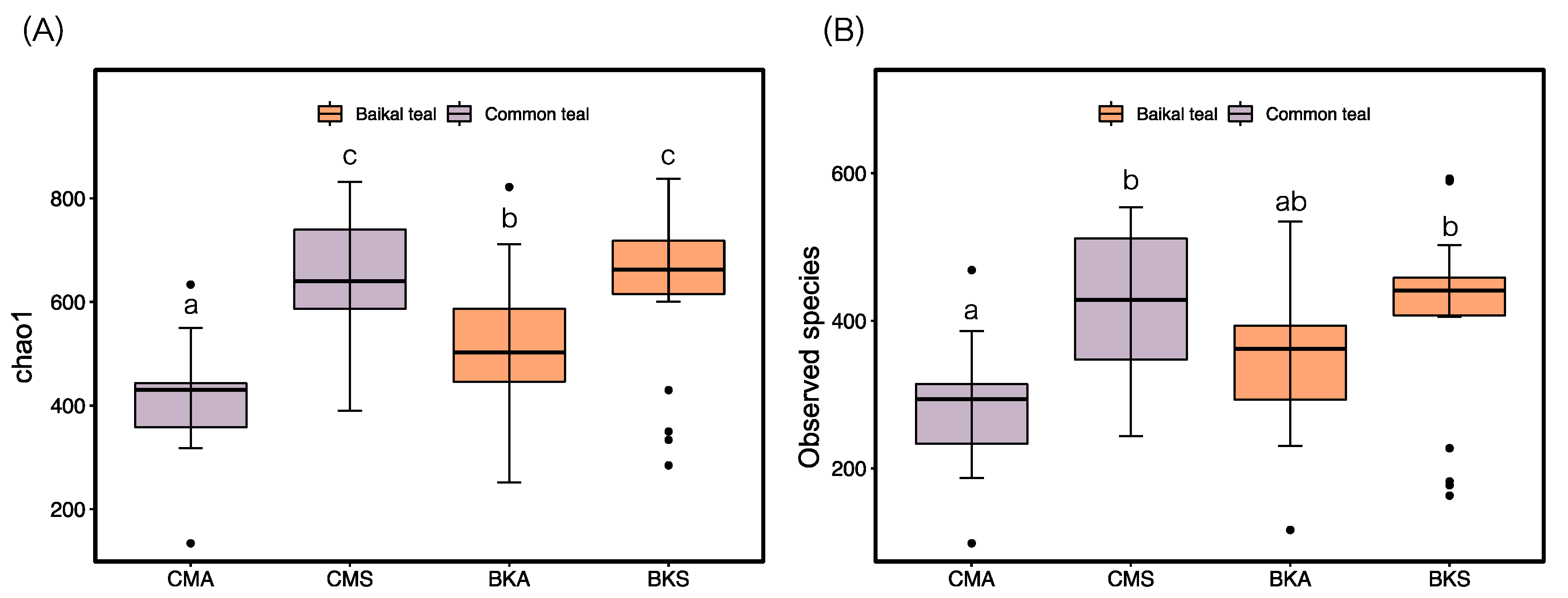 Animals 13 02948 g001