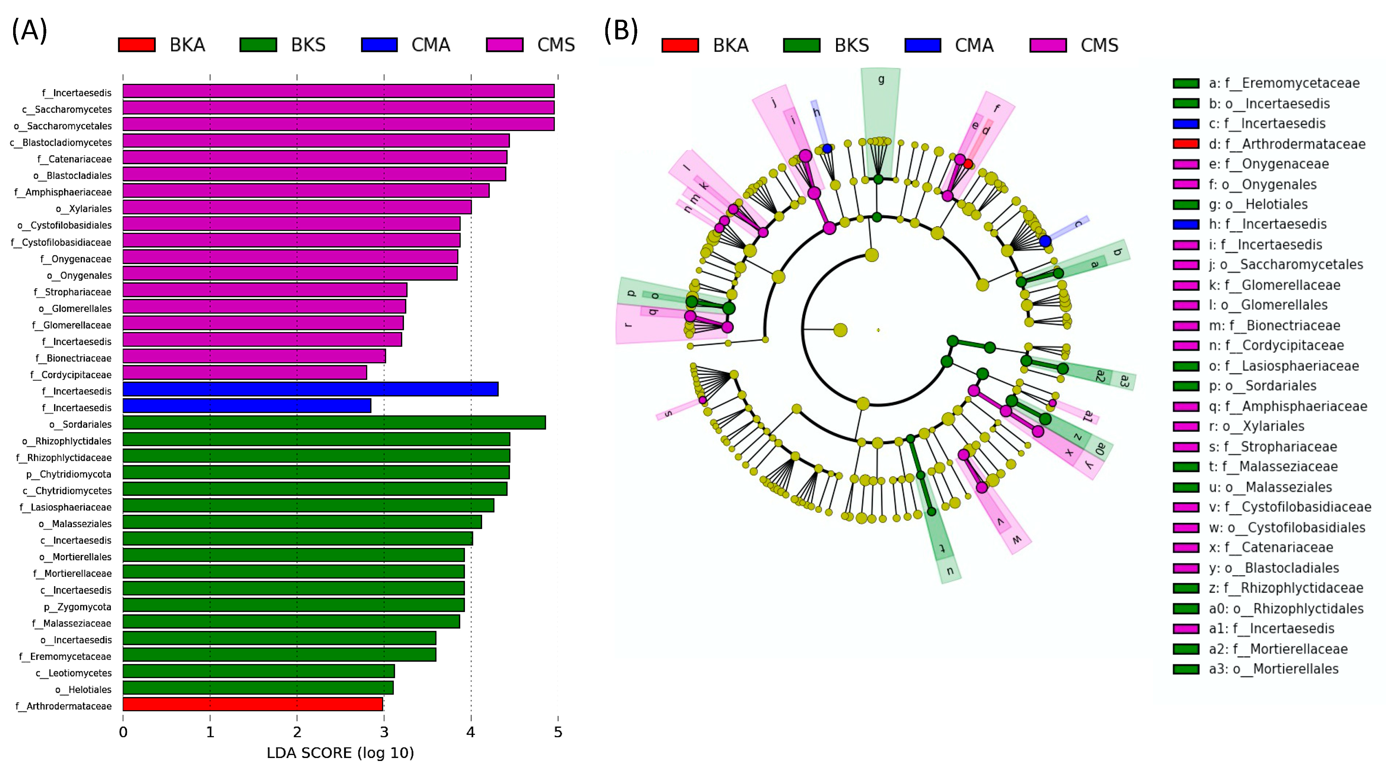 Animals 13 02948 g003