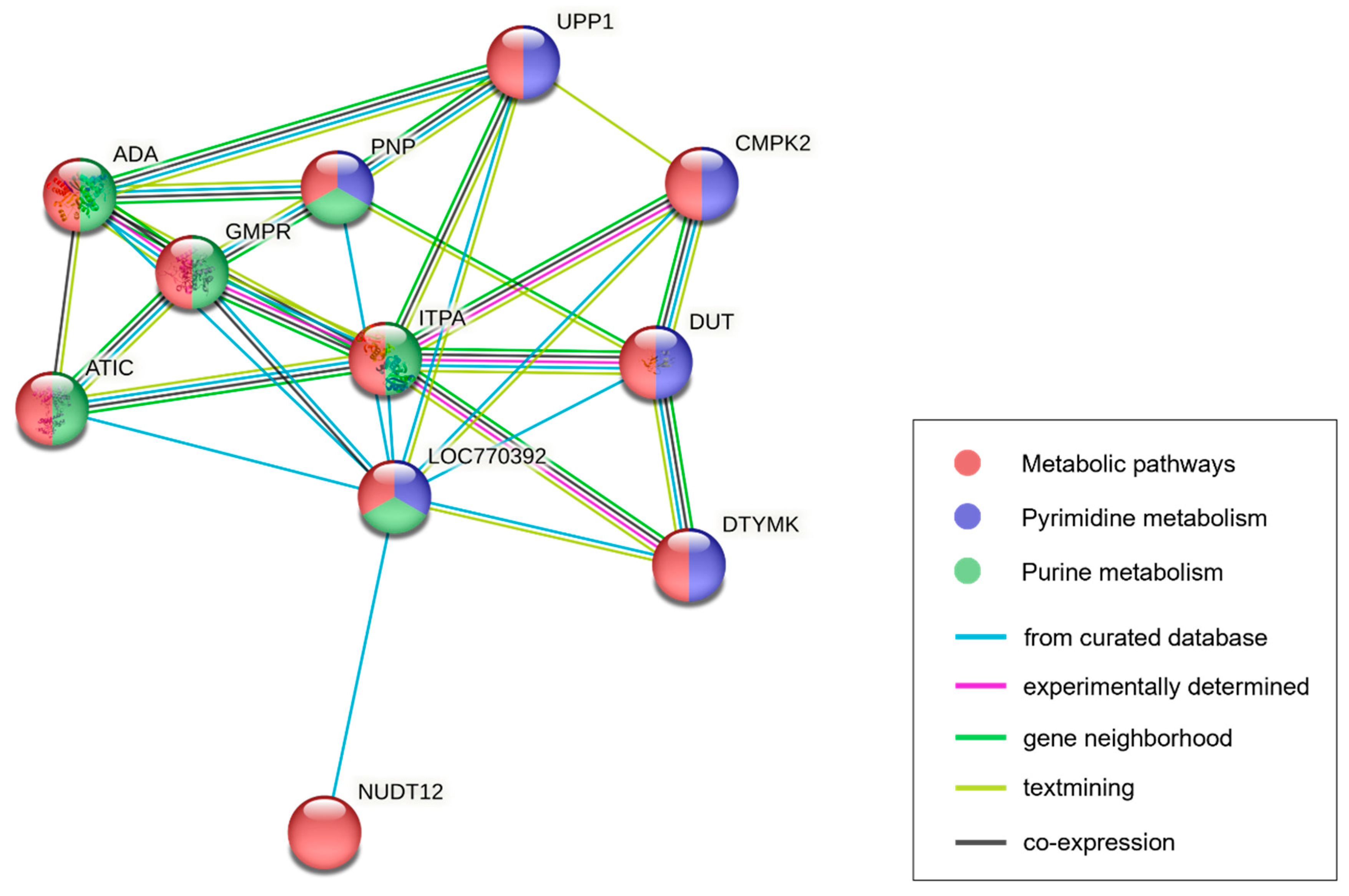 Animals 13 02966 g003
