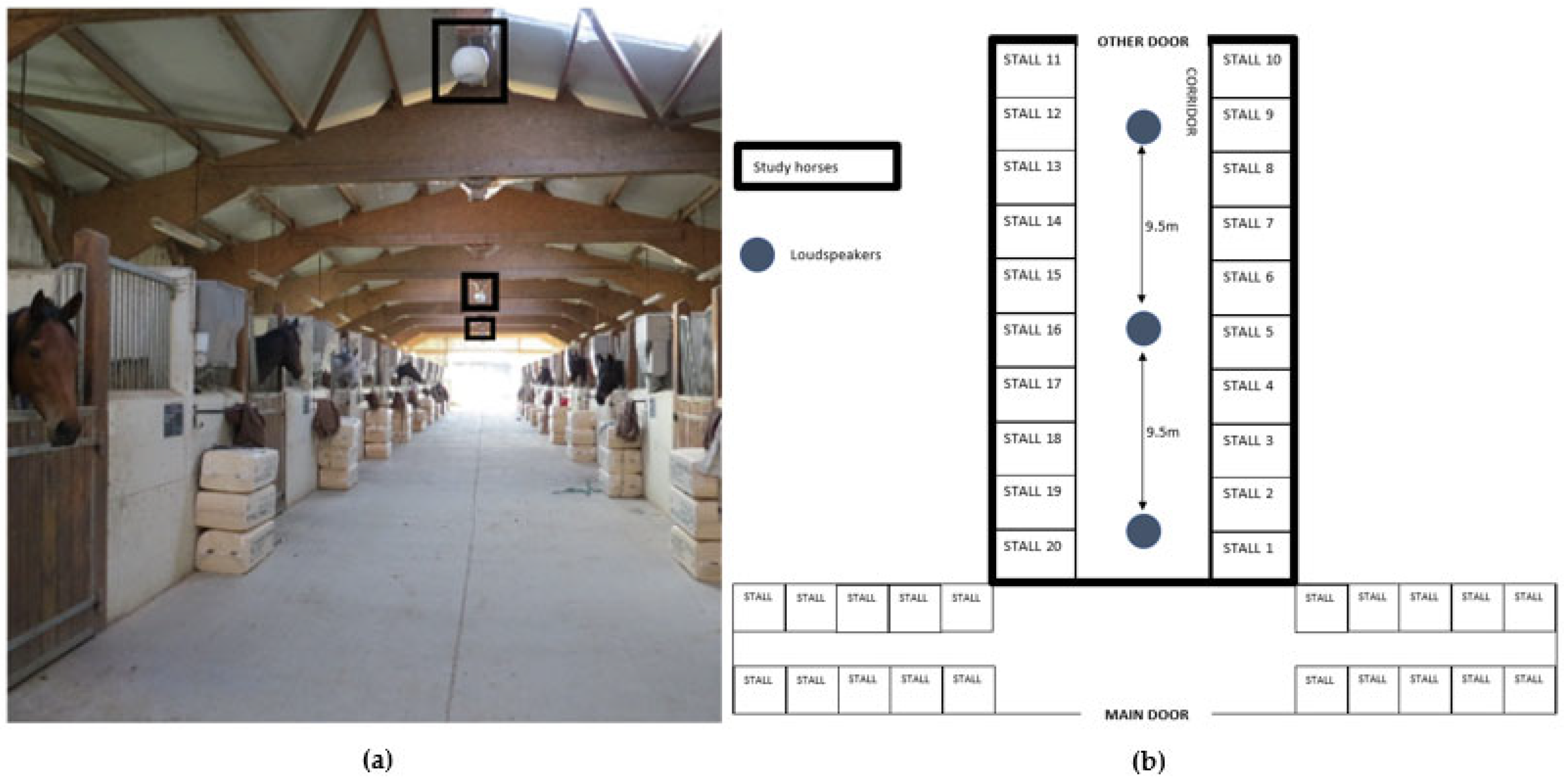 Animals 13 02970 g002