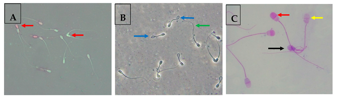 Animals 13 02973 g001