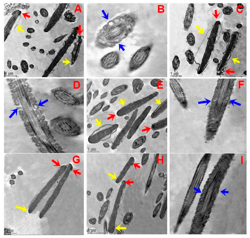 Animals 13 02973 g003