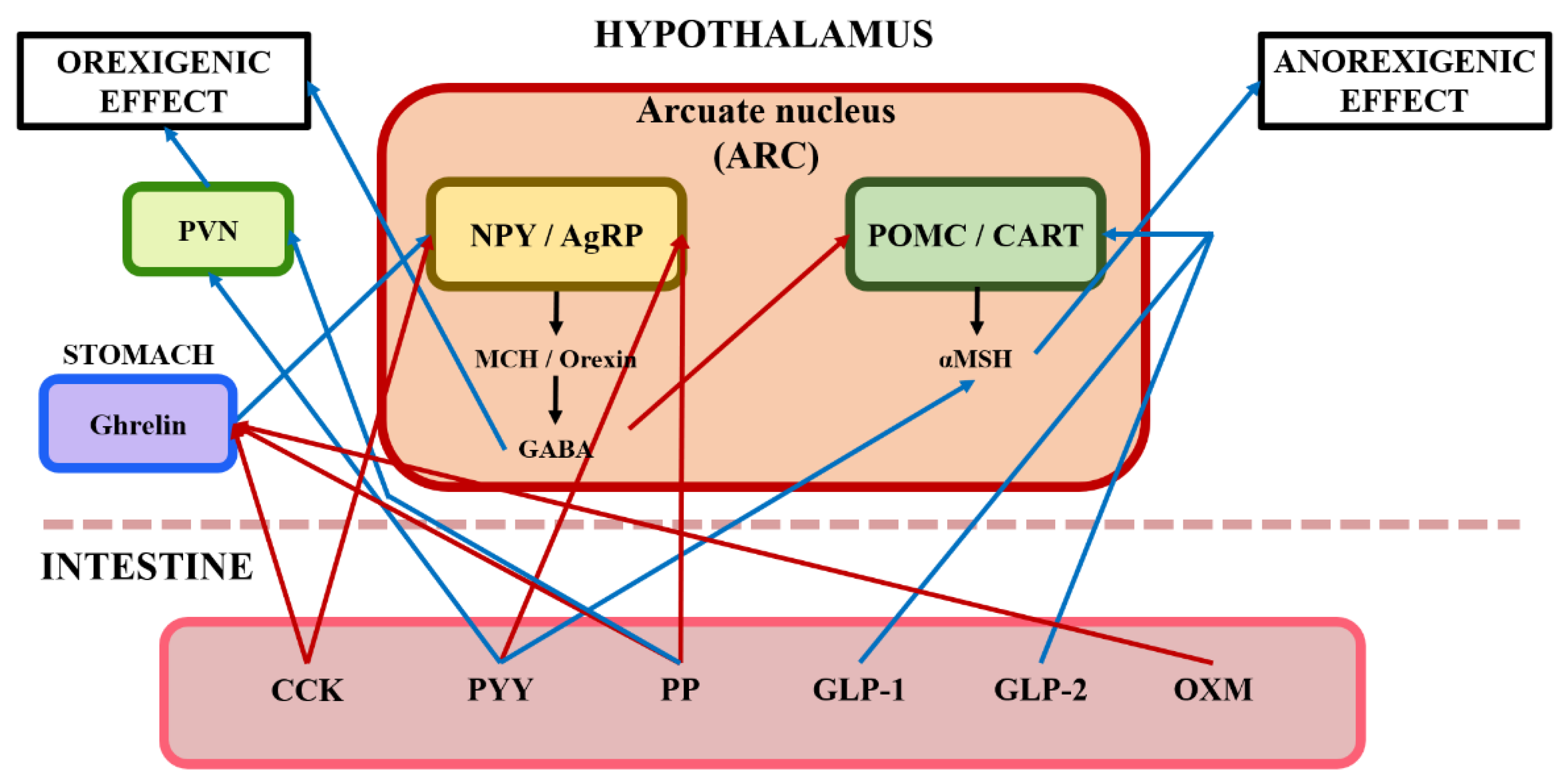 Animals 13 02975 g002