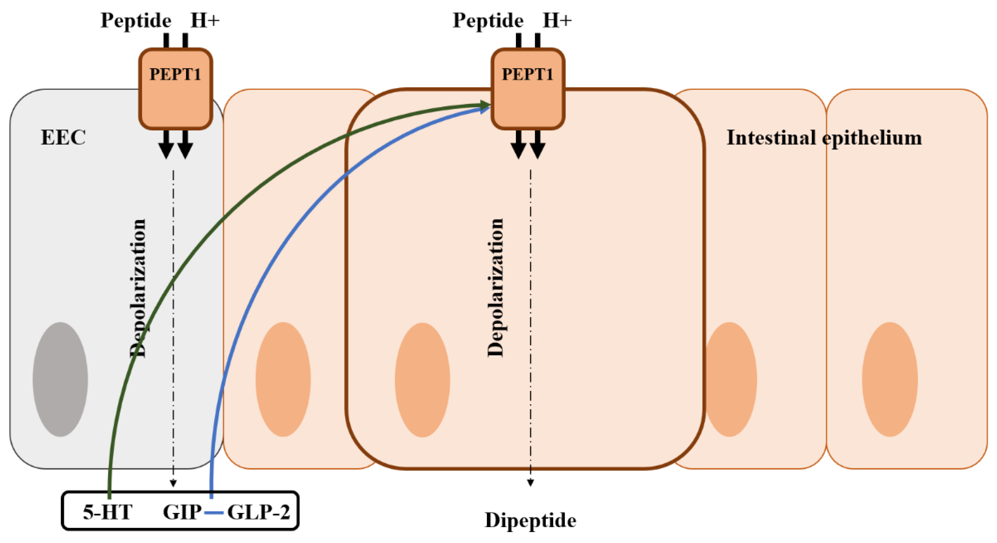 Animals 13 02975 g005