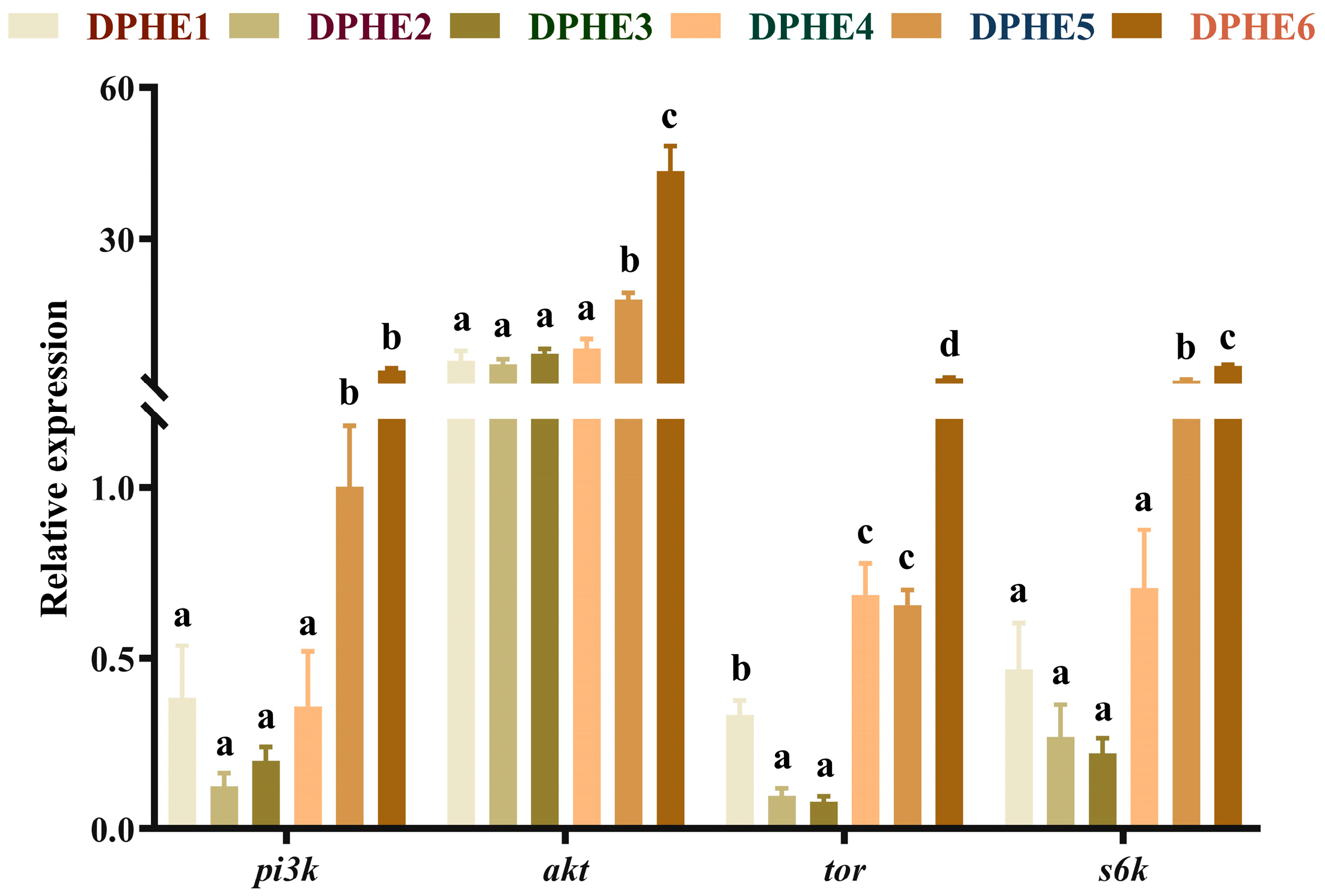 Animals 13 02980 g001