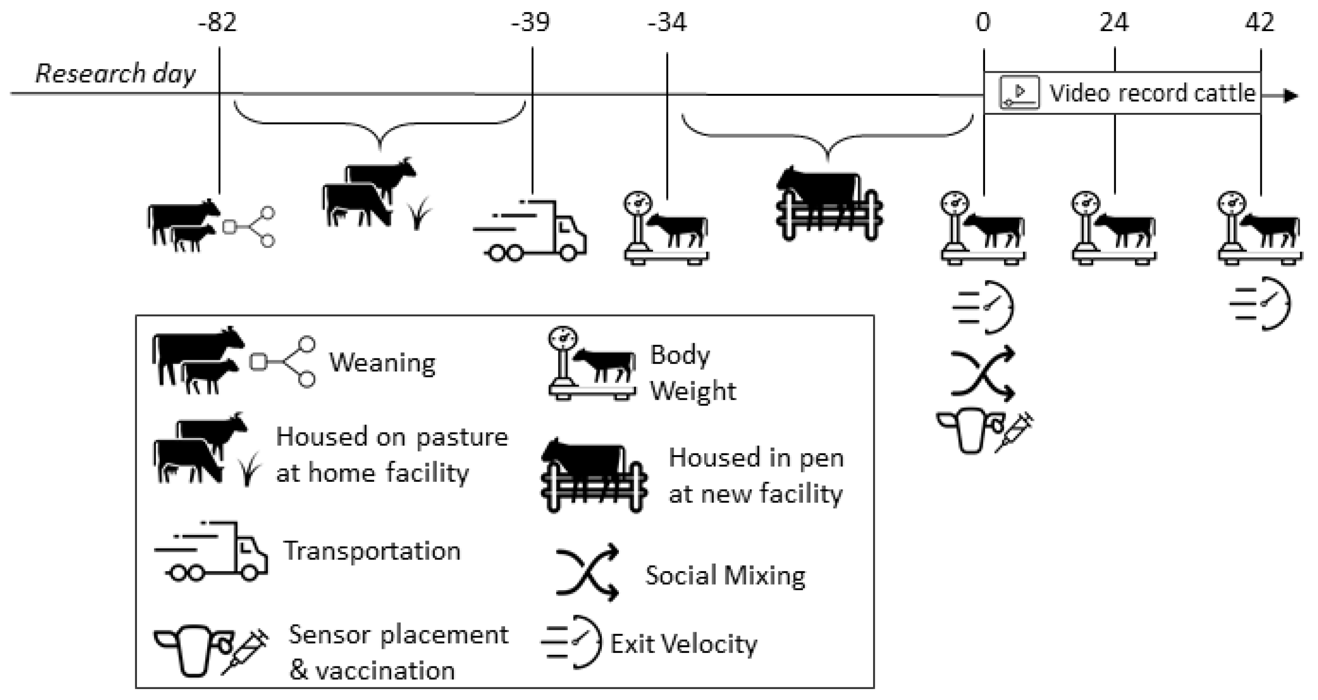Animals 13 02981 g001 Animals 13 02981 g001