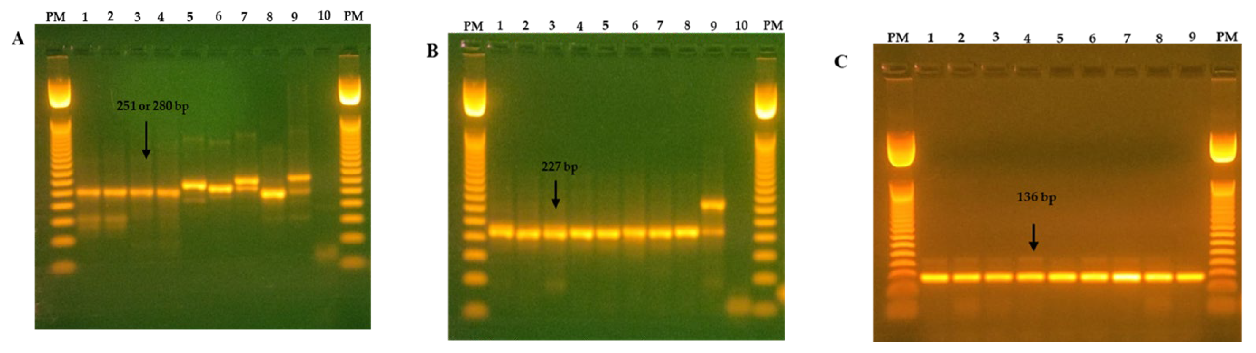 Animals 13 02983 g001 Animals 13 02983 g001