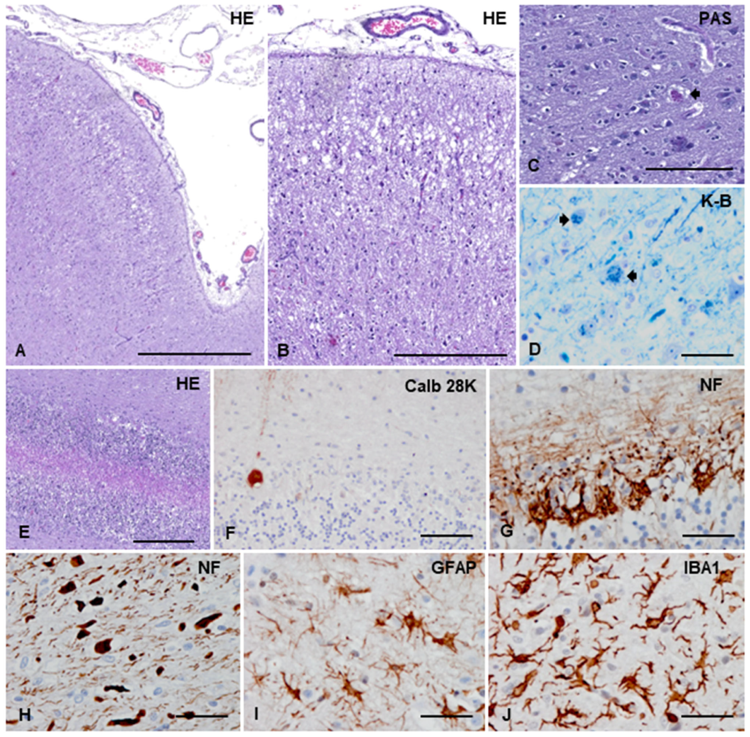 Animals 13 02985 g003