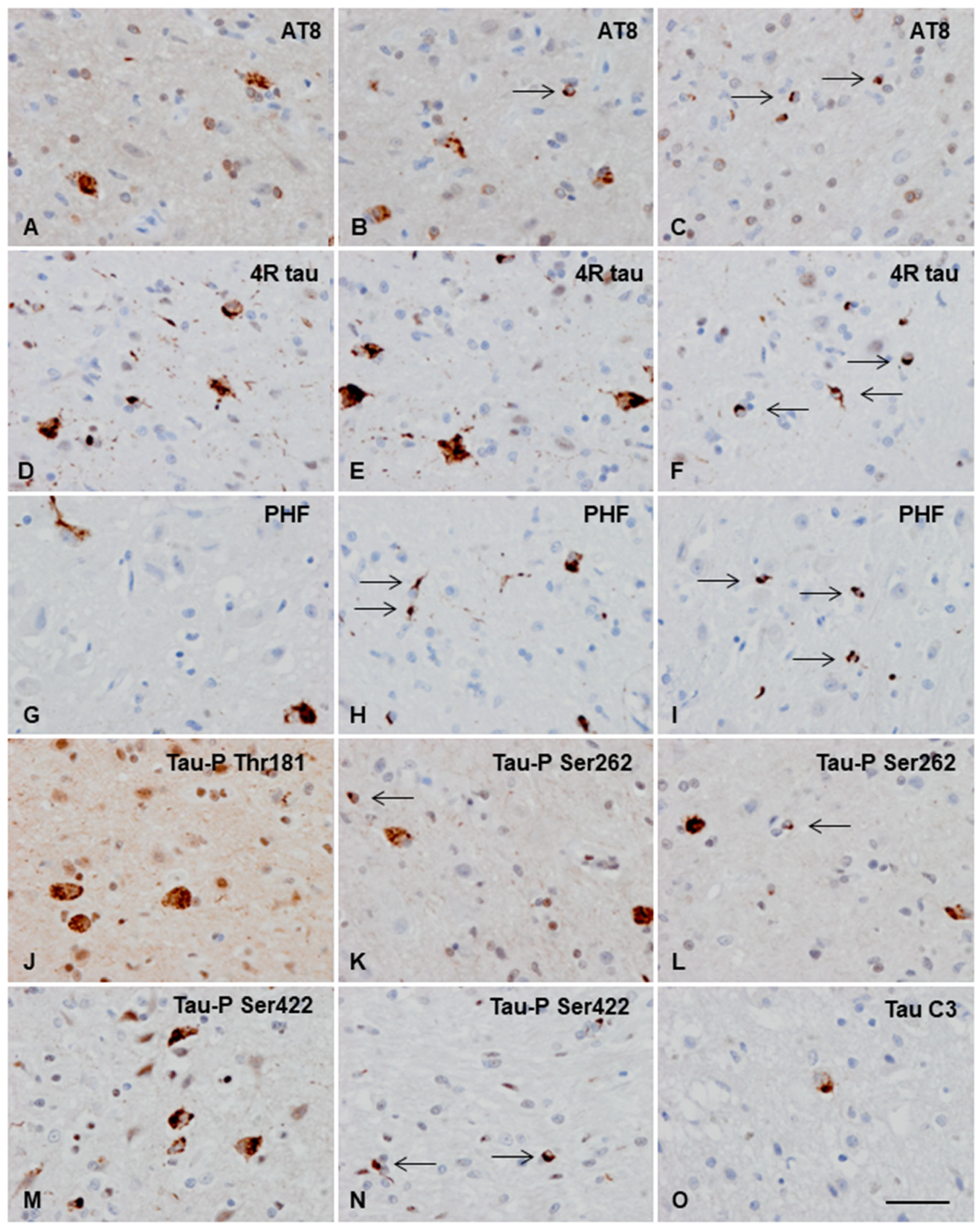 Animals 13 02985 g004